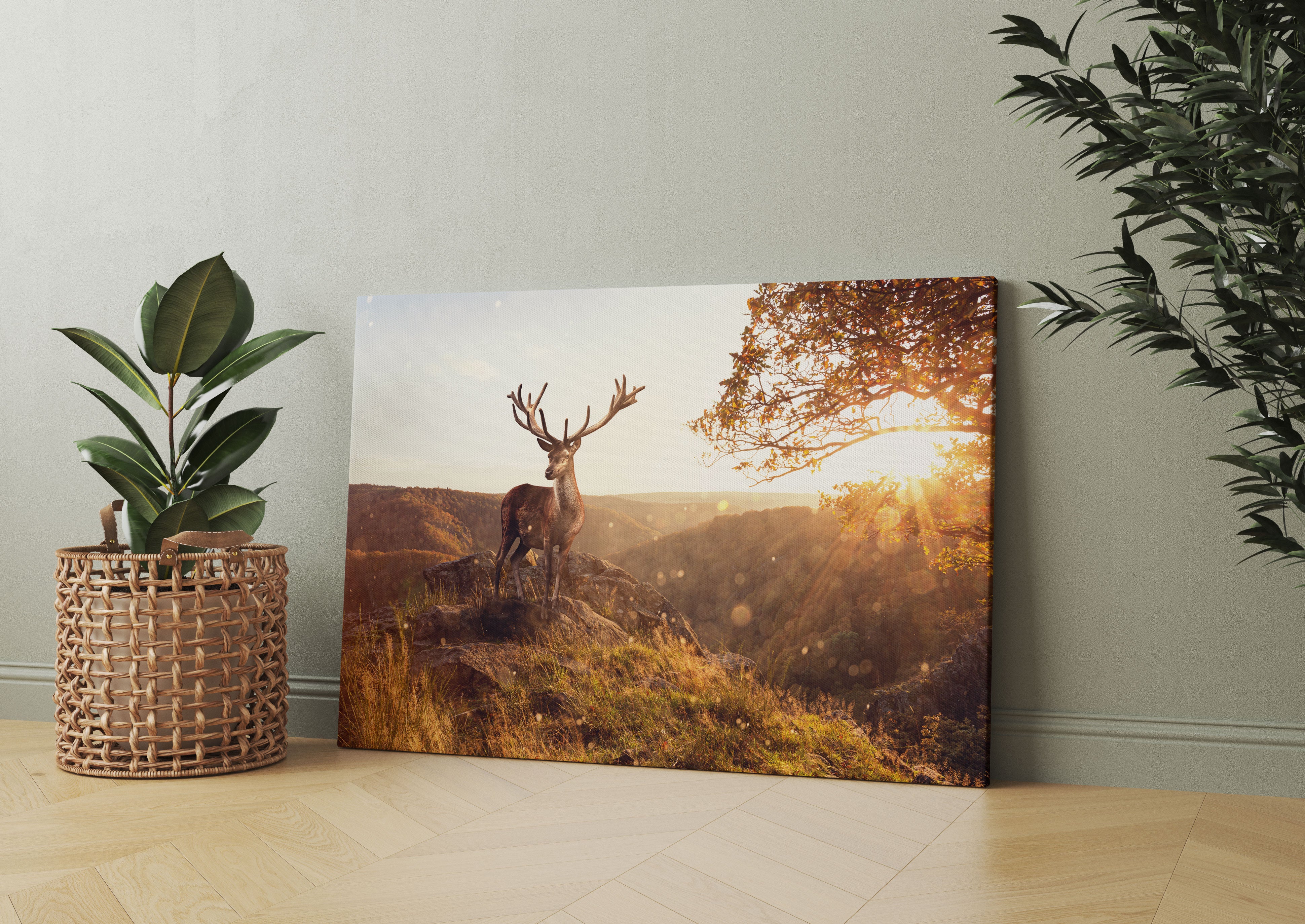 Anmutiger Hirsch bei Sonnenuntergang Leinwandbild Wohnzimmer