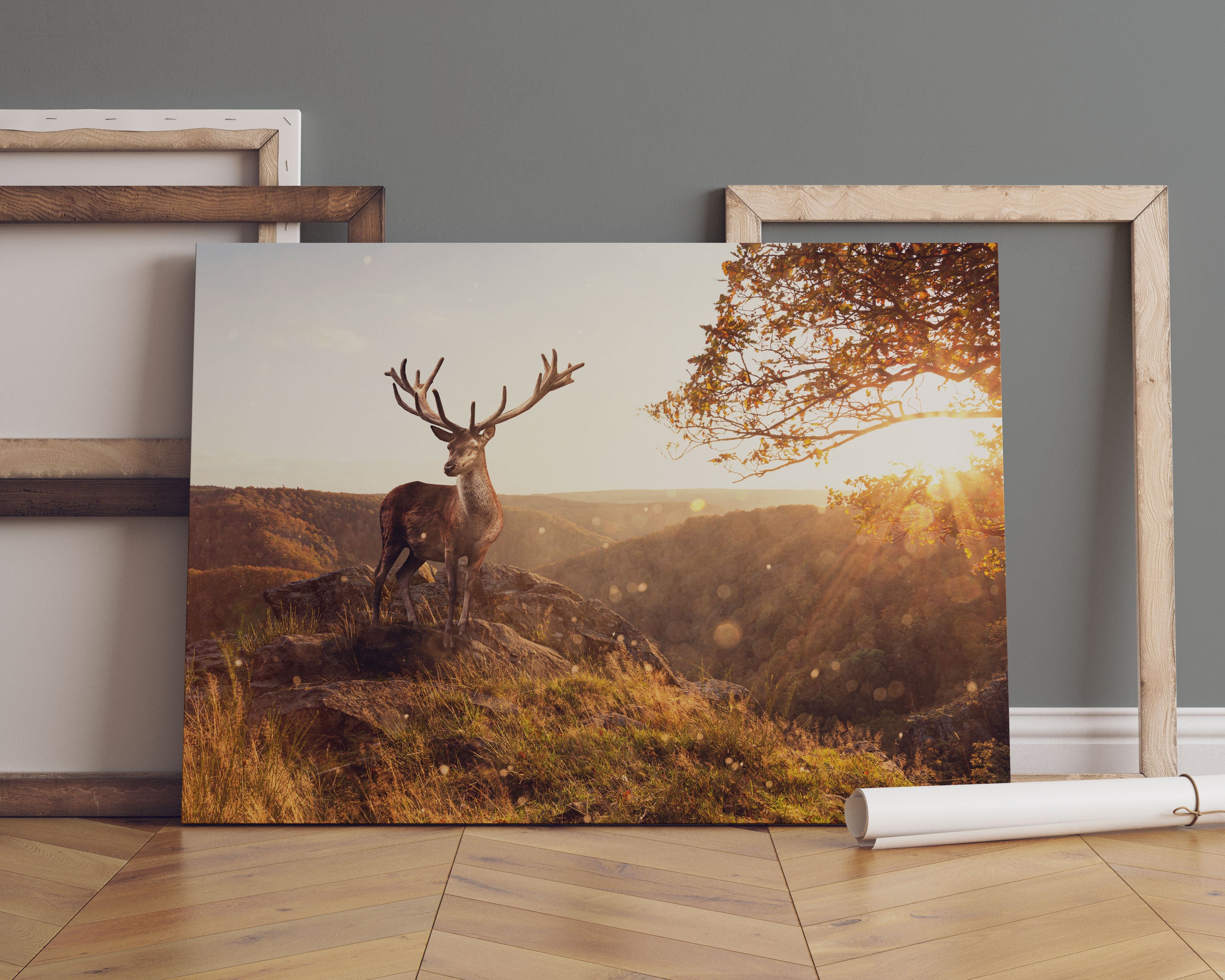 Anmutiger Hirsch bei Sonnenuntergang Leinwandbild Sofa