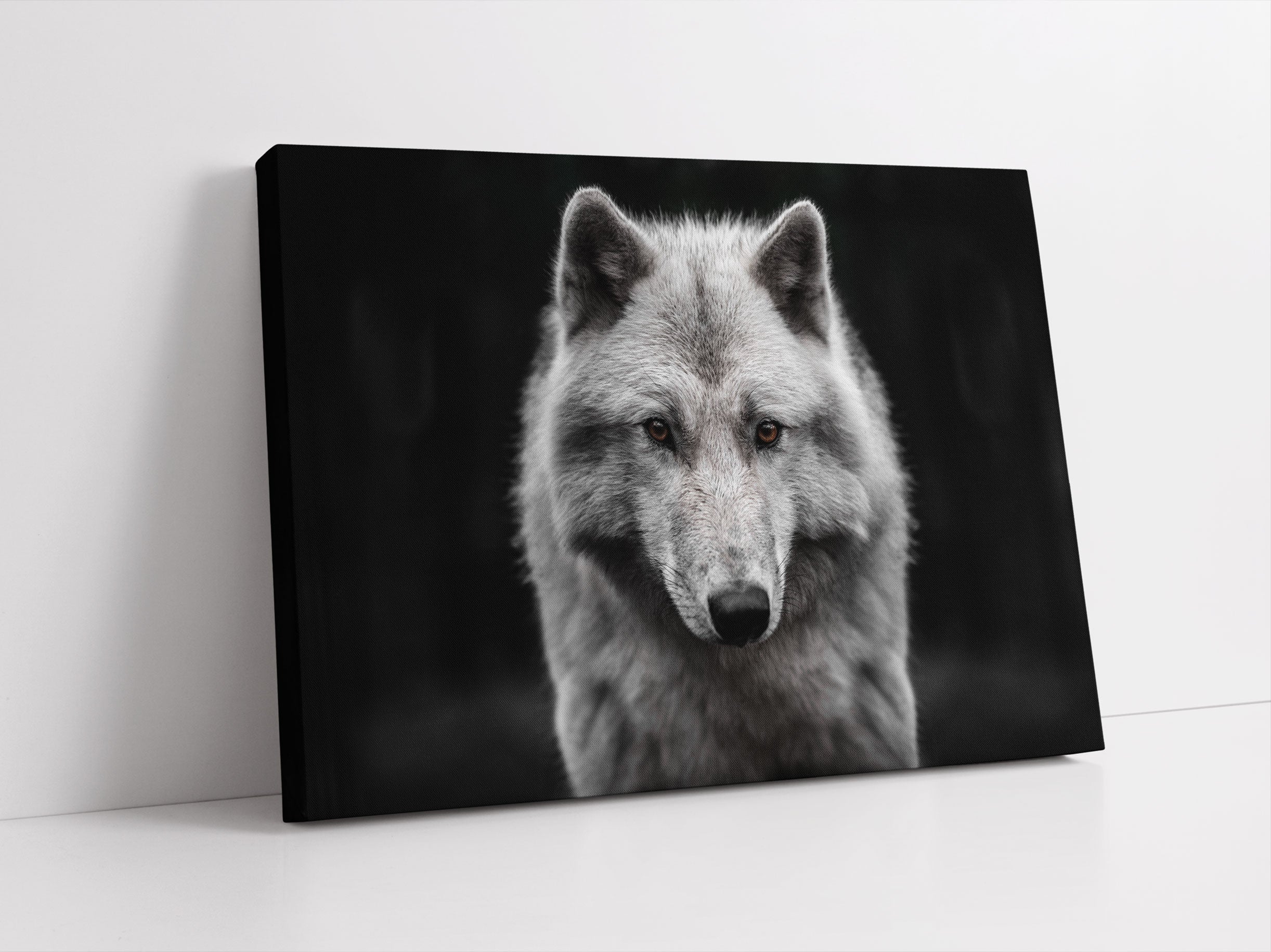 Nahaufnahme junger Polarwolf Leinwandbild Studio