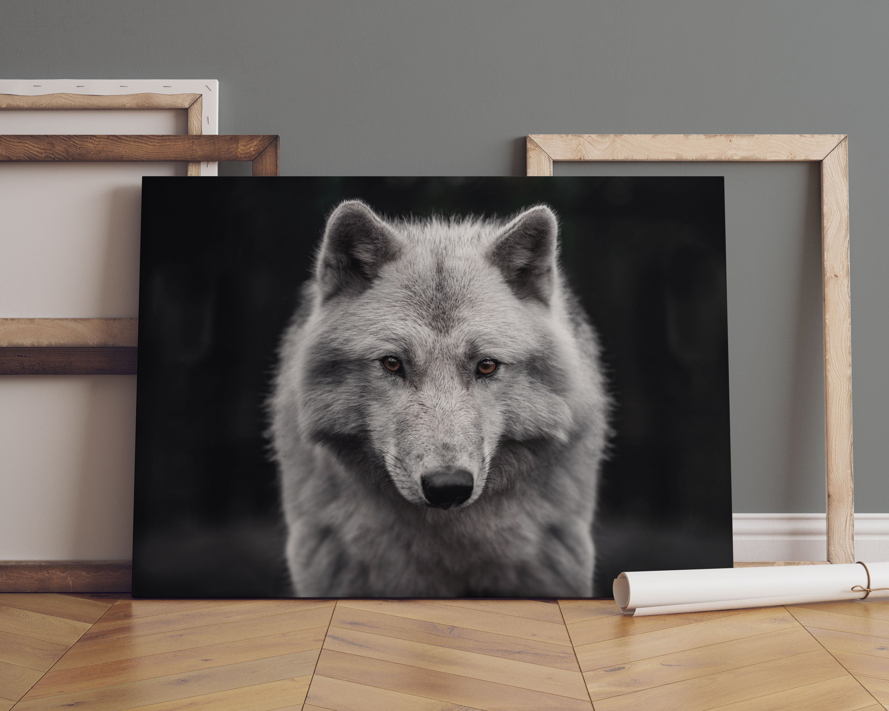 Nahaufnahme junger Polarwolf Leinwandbild Sofa