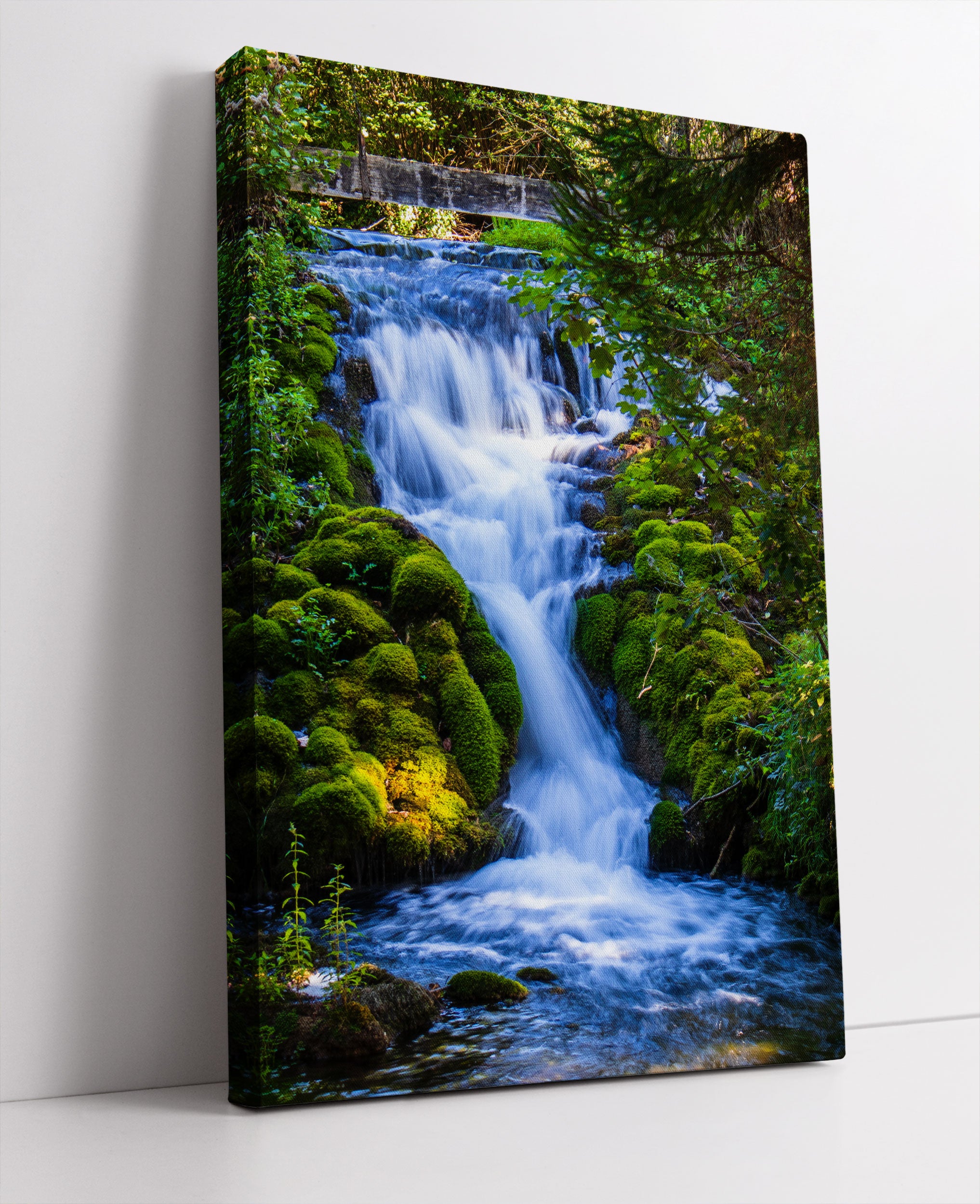 Wasserfall im grünen Wald Leinwandbild Studio