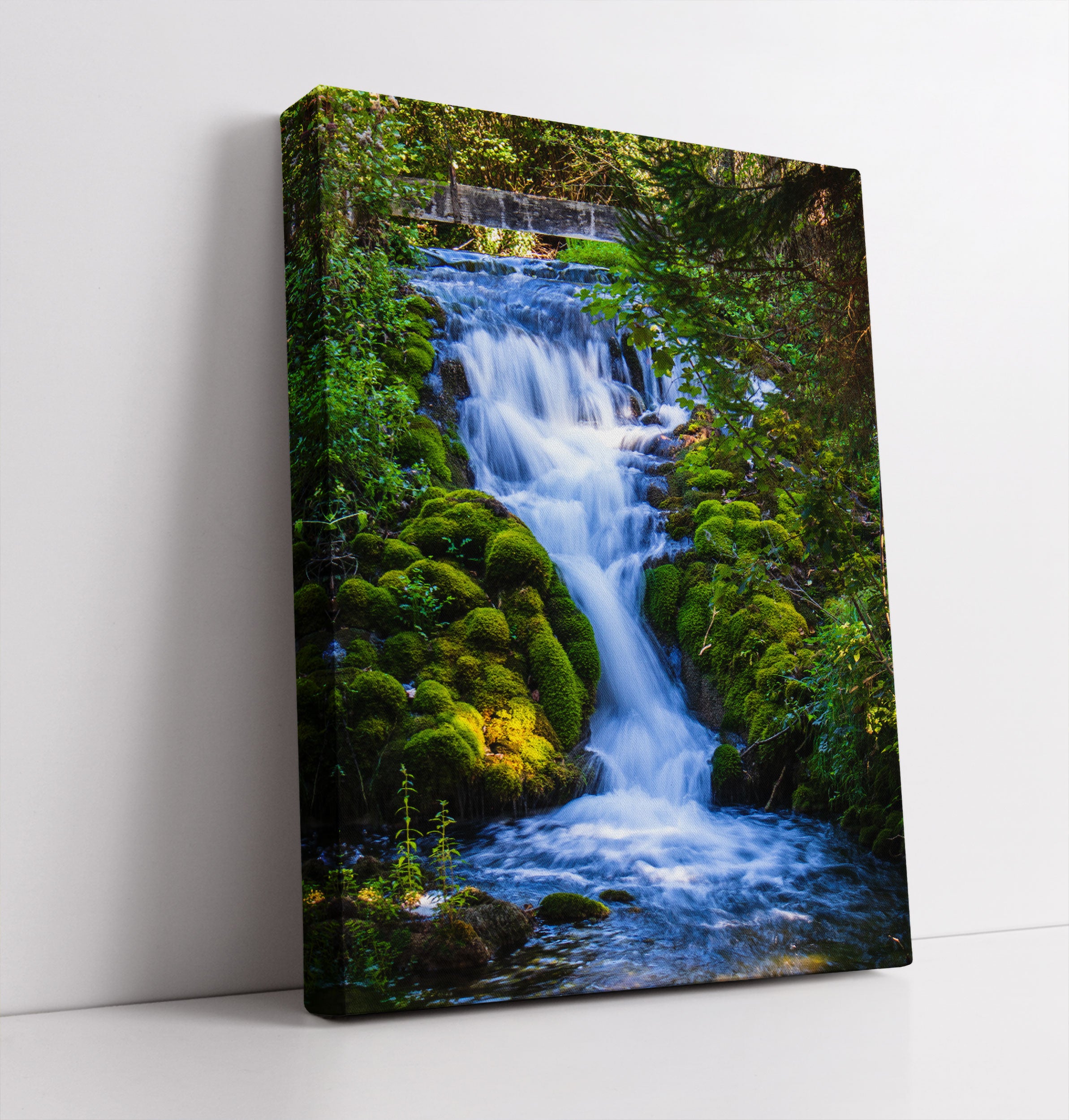 Wasserfall im grünen Wald - Leinwandbild