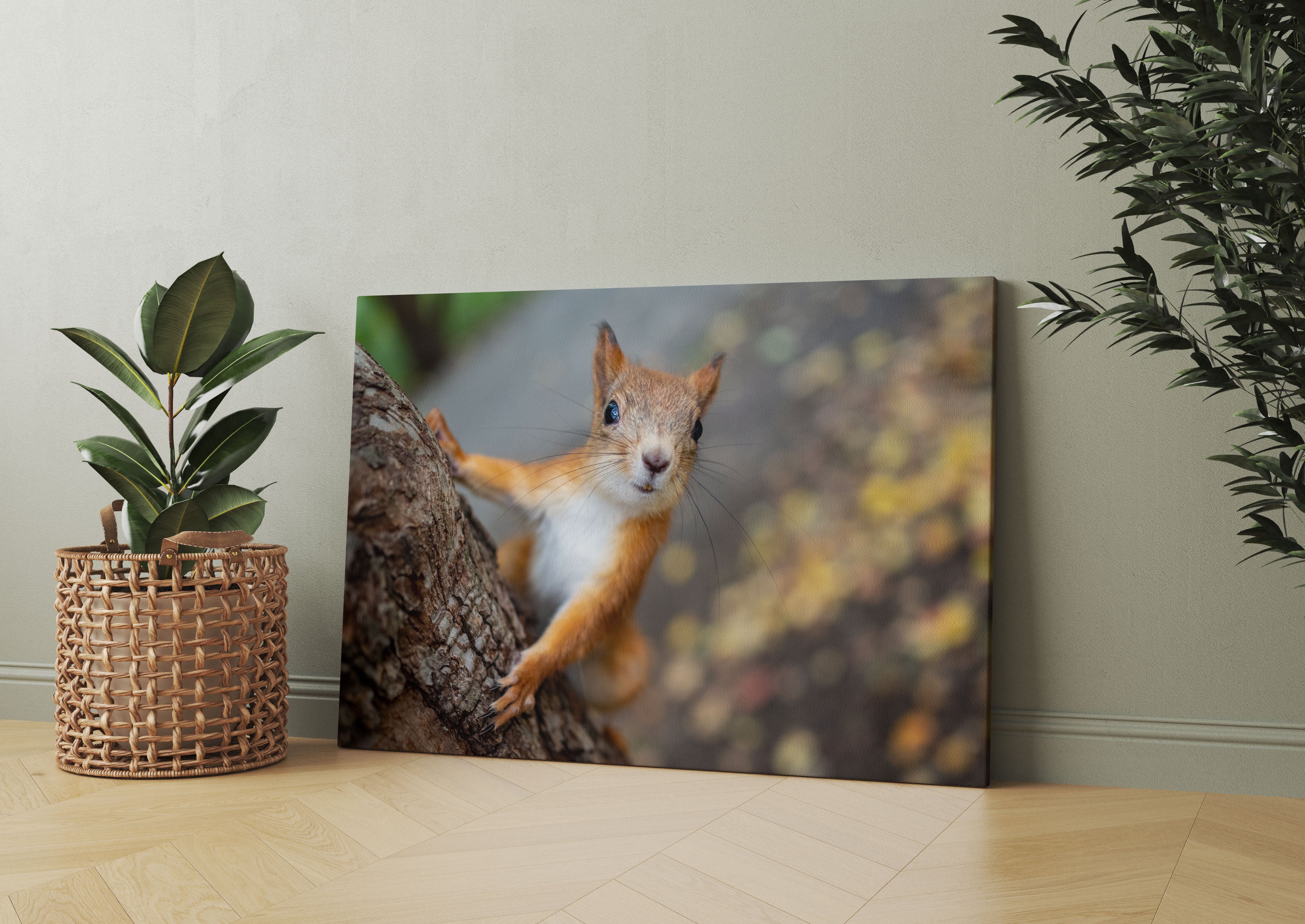 Nahaufnahme Eichhörnchen an Baumstamm Leinwandbild Wohnzimmer