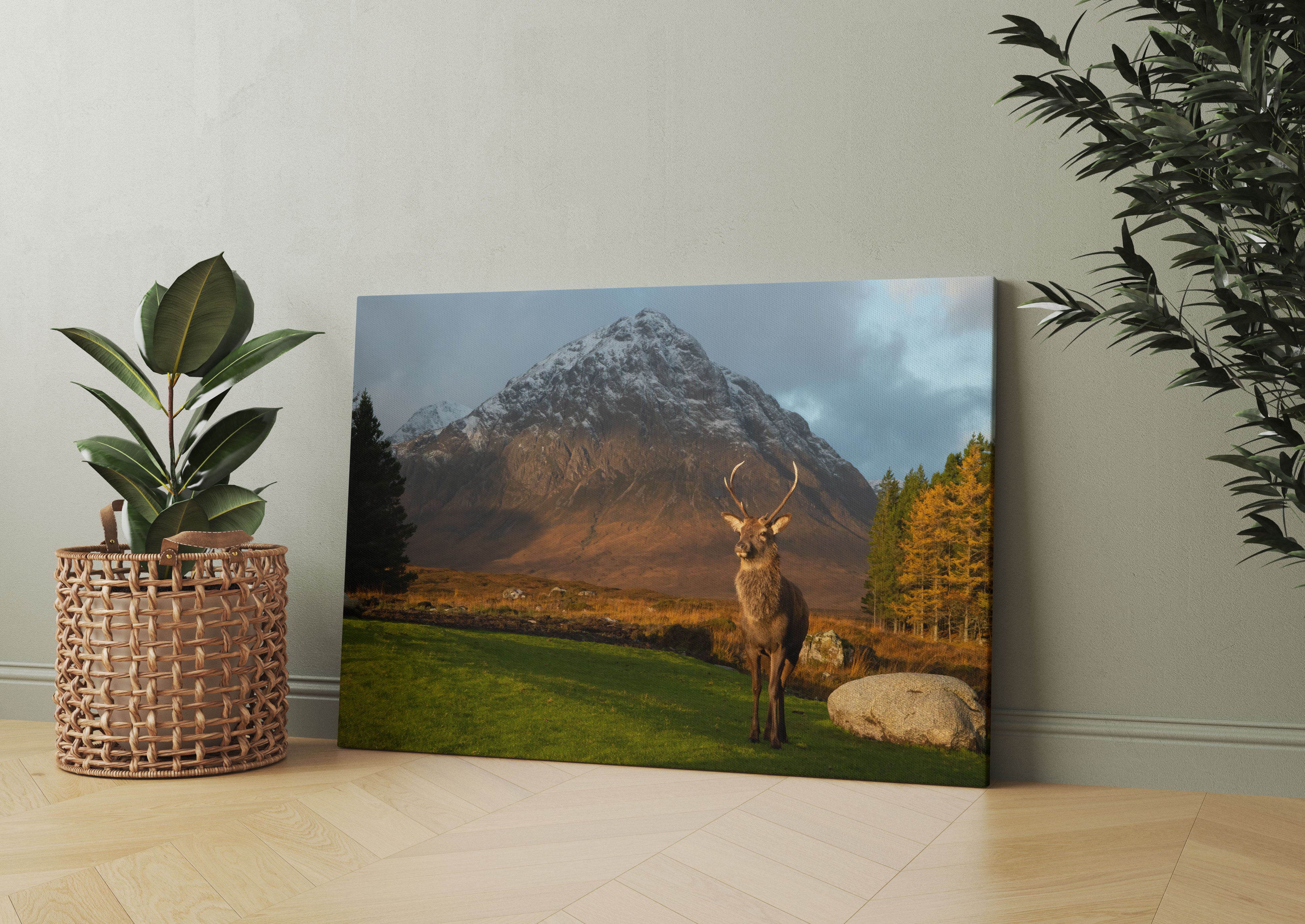 Einsames Rentier vor Berglandschaft Leinwandbild Wohnzimmer