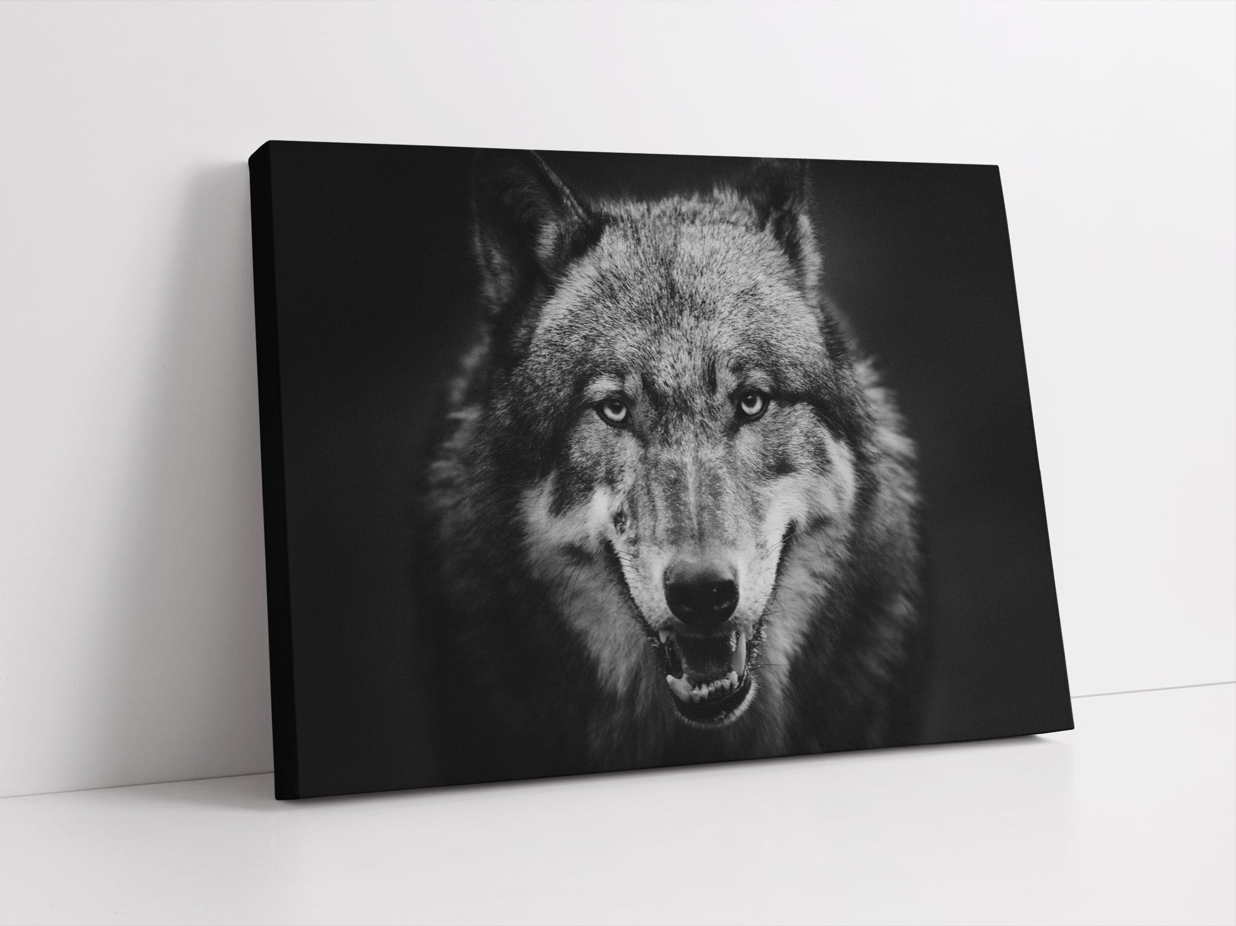 Nahaufnahme Wolf mit offener Schnauze Leinwandbild Studio