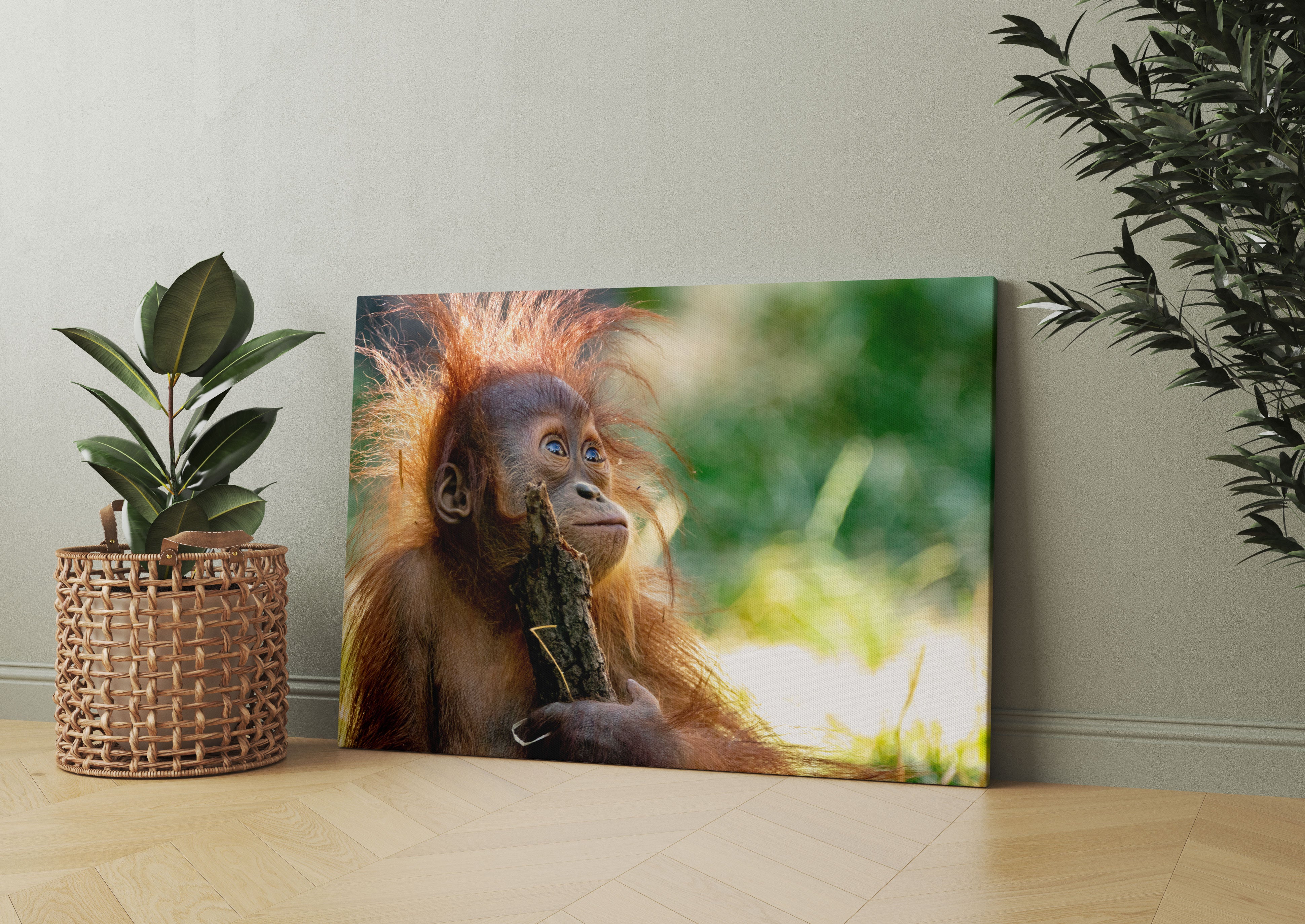 Orang-Utan Baby spielt mit Stock Leinwandbild Wohnzimmer