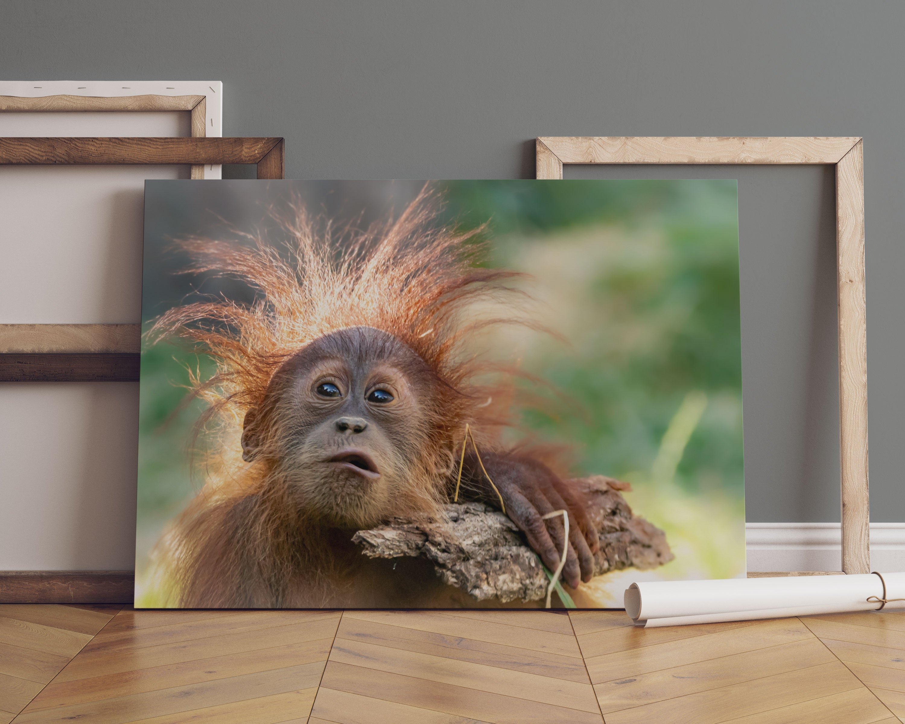 Lustiger Baby Orang-Utan mit Rinde Leinwandbild Sofa