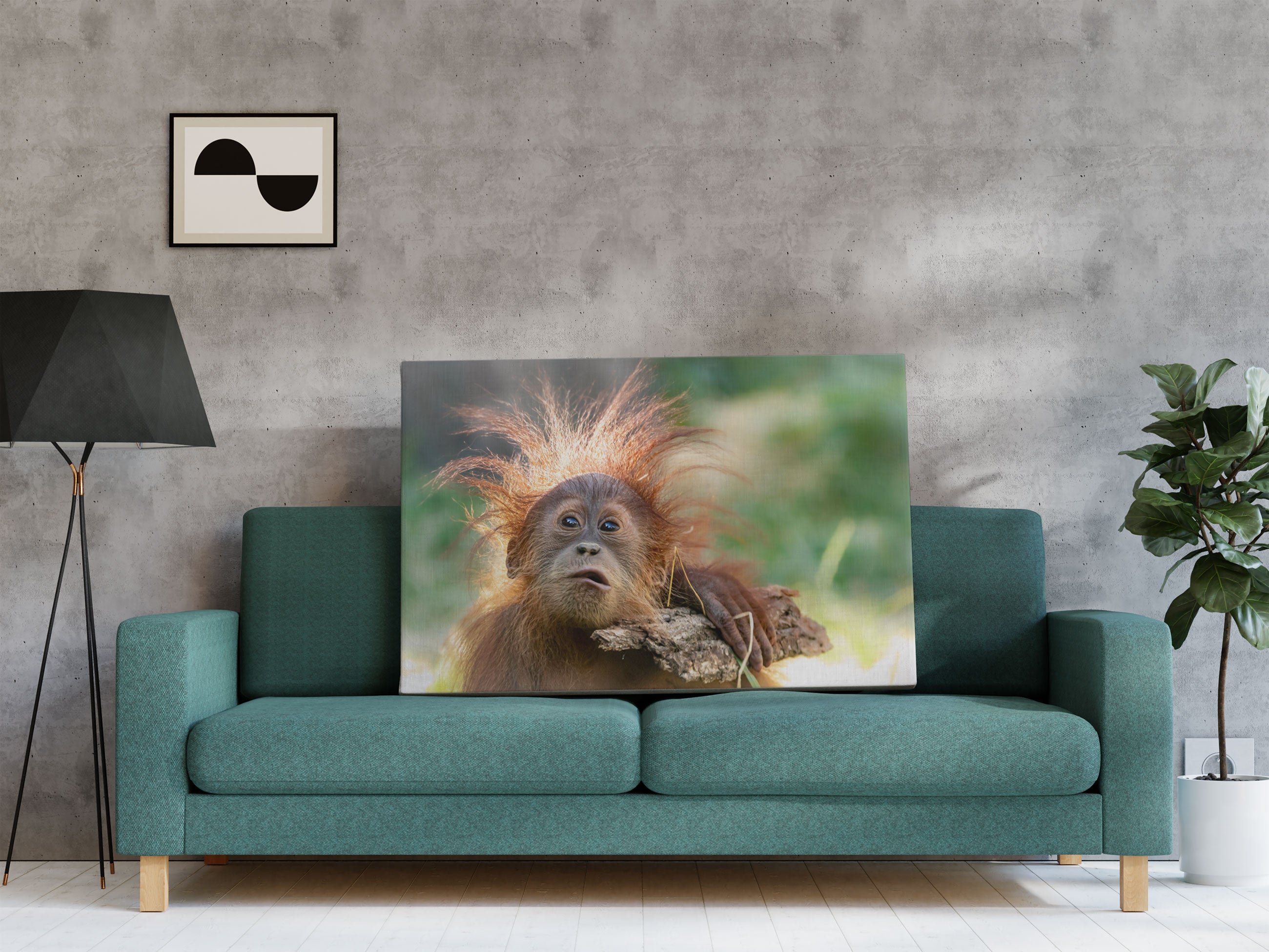 Lustiger Baby Orang-Utan mit Rinde Leinwandbild Regal