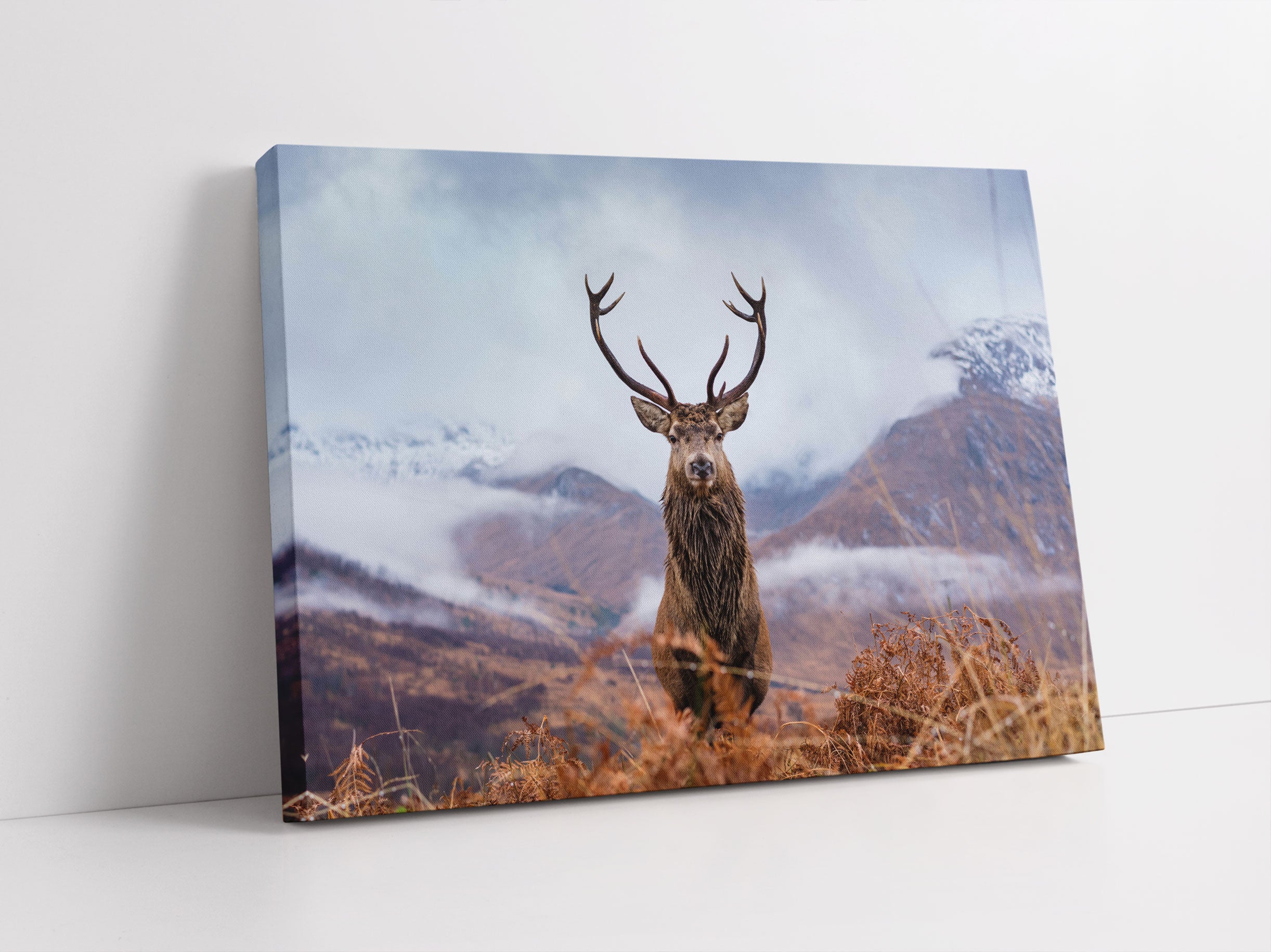 Majestätischer Hirsch in Berglandschaft Leinwandbild Studio