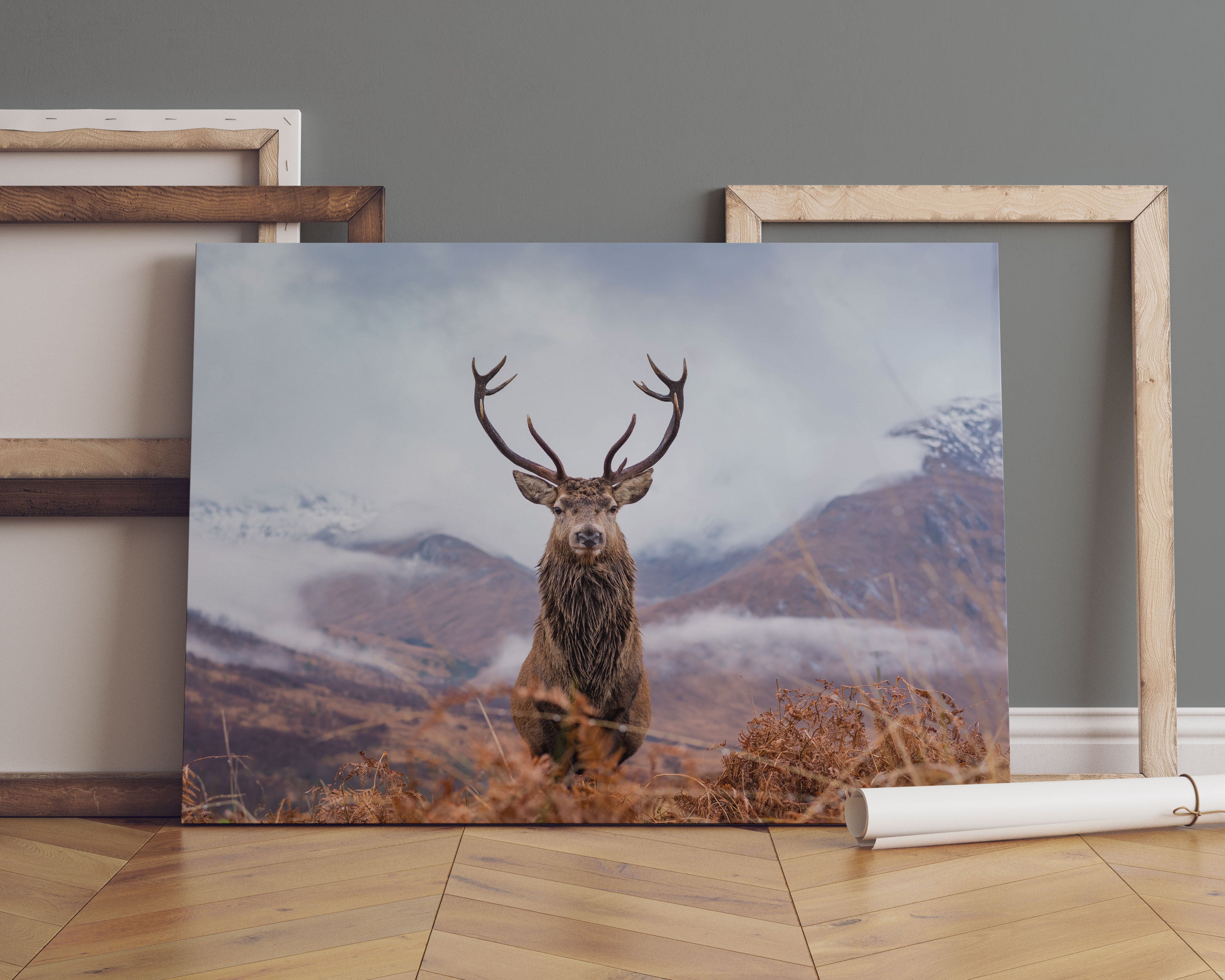 Majestätischer Hirsch in Berglandschaft Leinwandbild Sofa