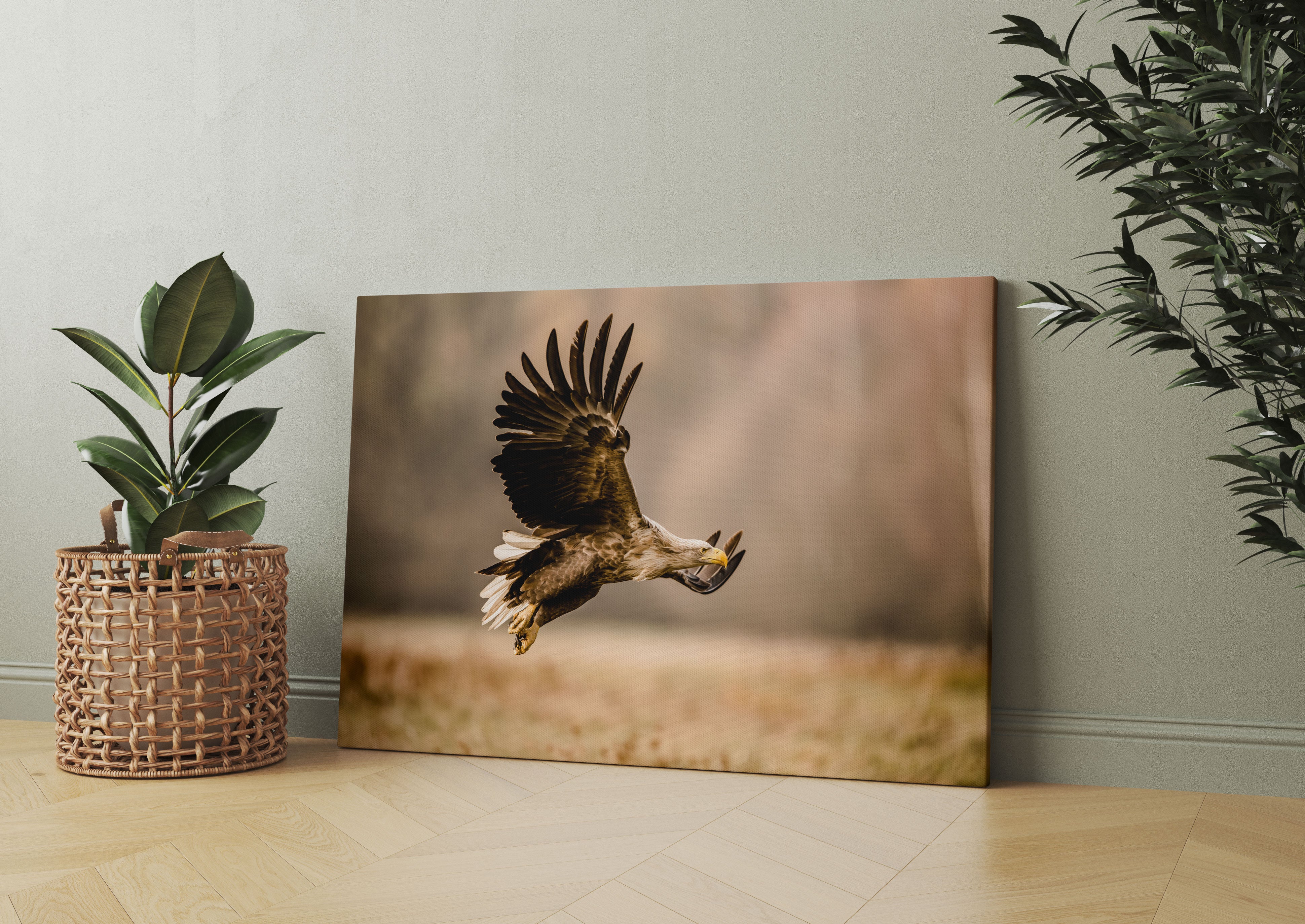 Nahaufnahme Adler bei der Jagd Leinwandbild Wohnzimmer