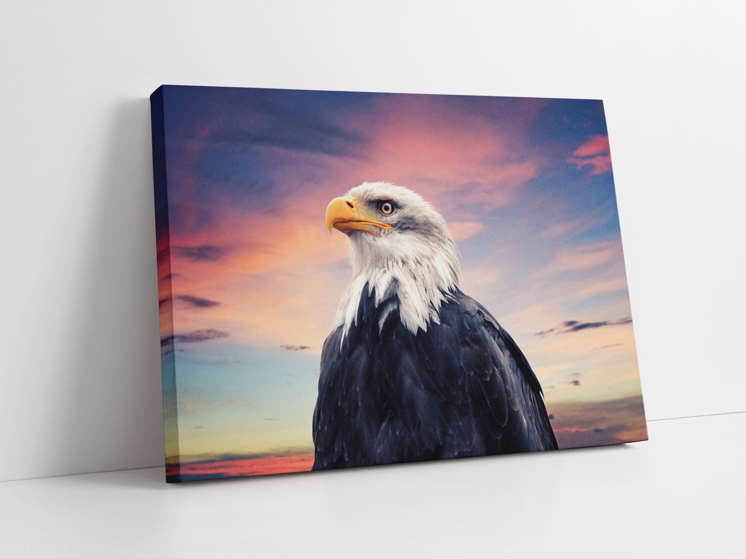 Weisskopfseeadler im Sonnenuntergang Leinwandbild Studio