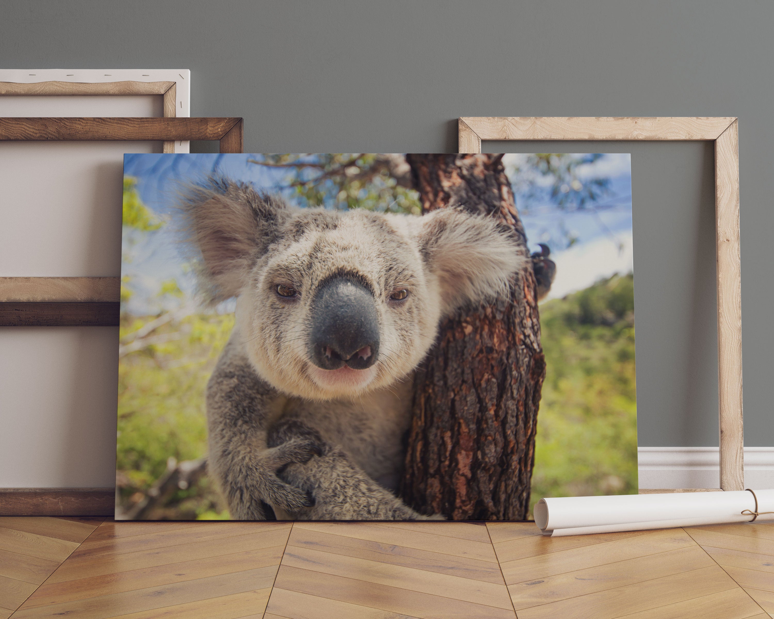 Neugieriger Koala am Baum Nahaufnahme Leinwandbild Sofa