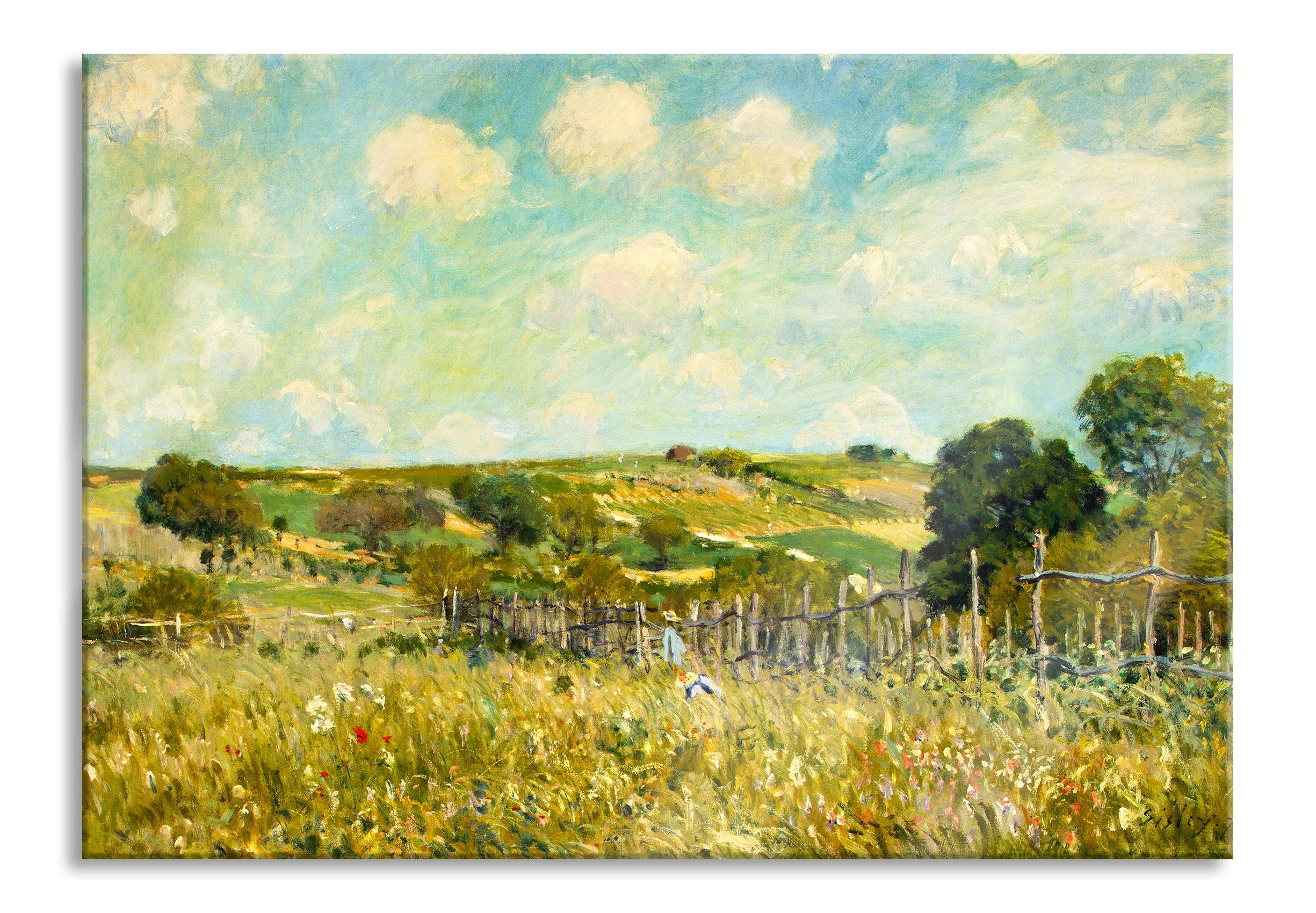 Alfred Sisley - Meadow , Glasbild