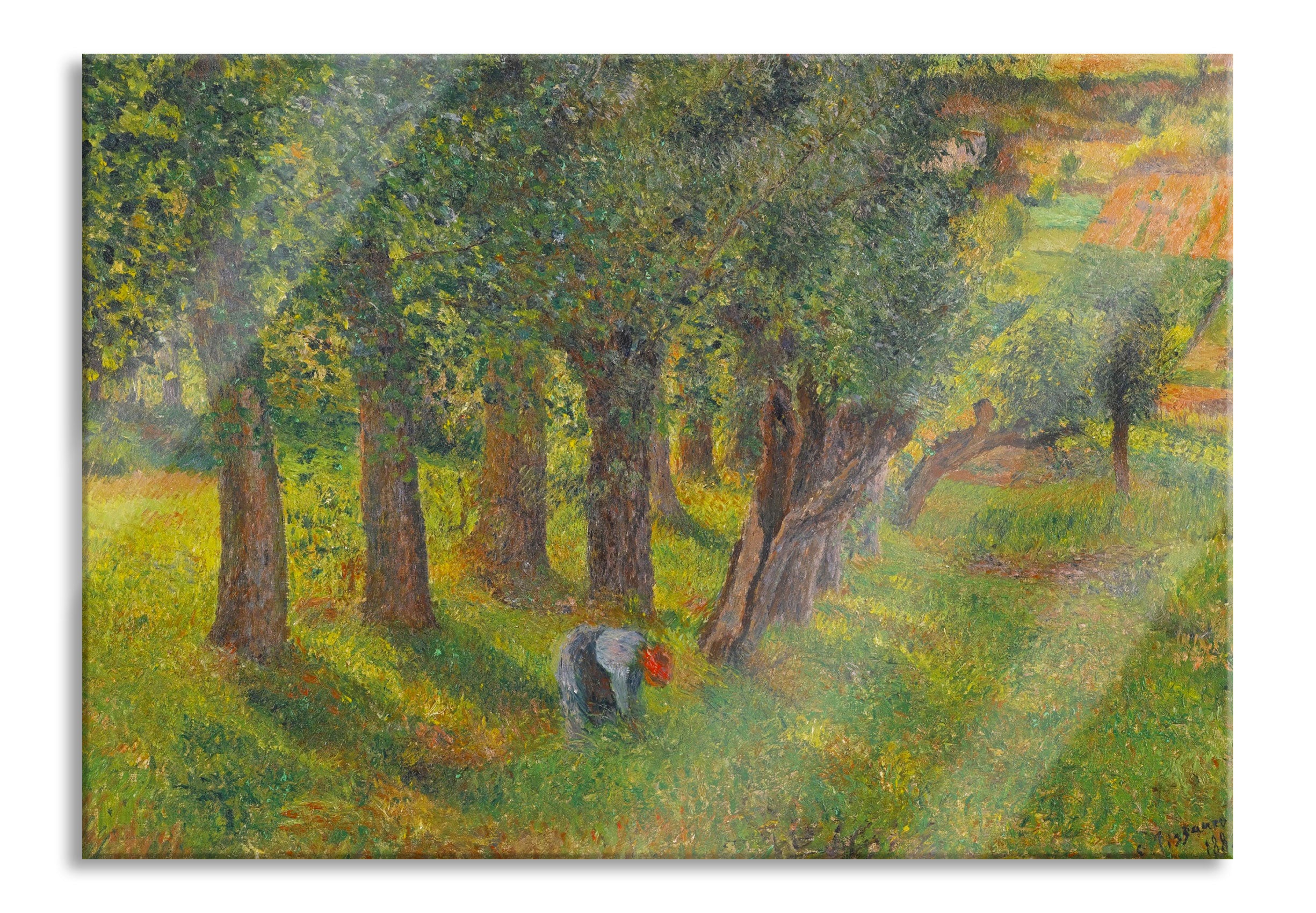 Camille Pissarro - LE CHOU À PONTOISE , Glasbild