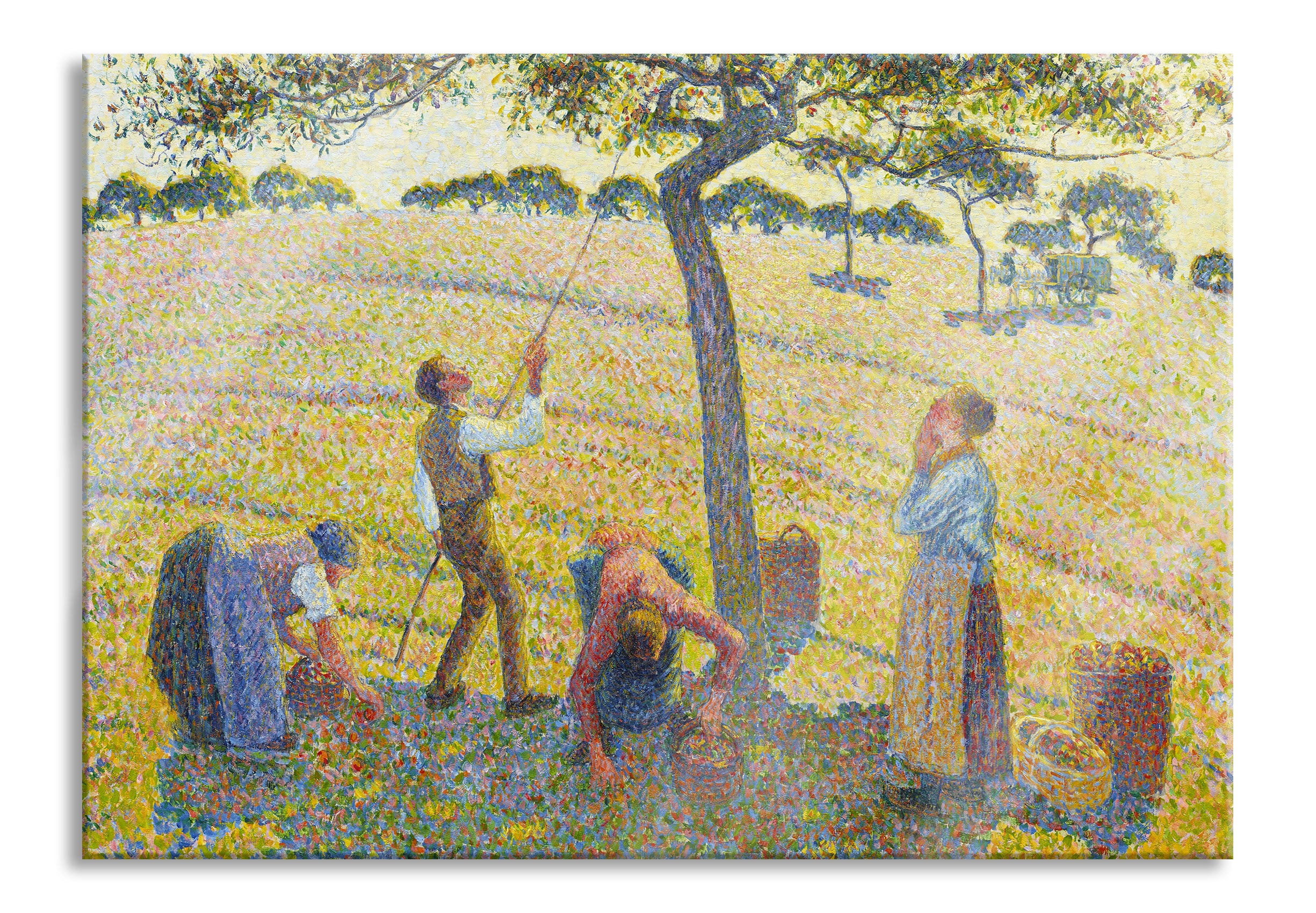 Camille Pissarro - Apple Harvest, Glasbild