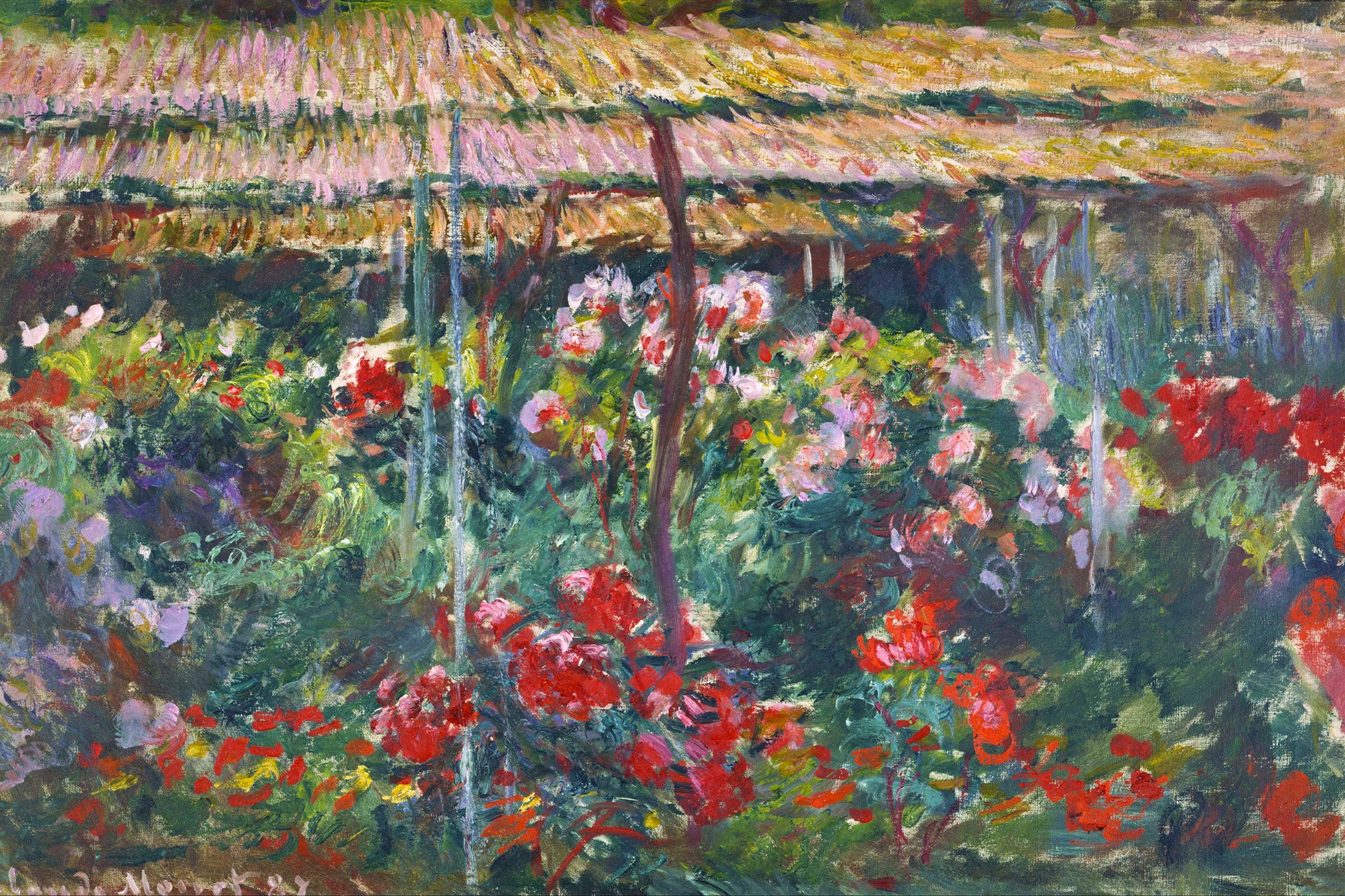 Claude Monet - Pfingstrosen-Garten , Glasbild