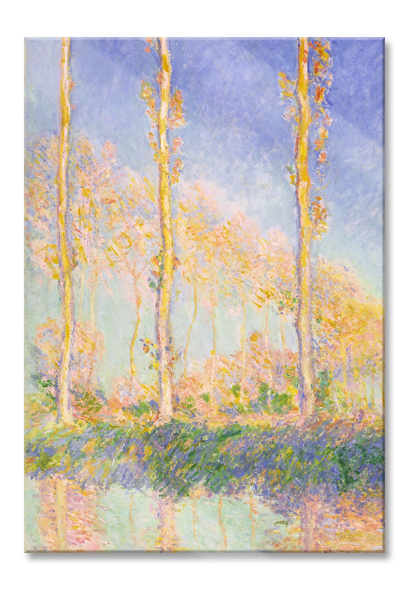 Claude Monet - Pappeln  , Glasbild