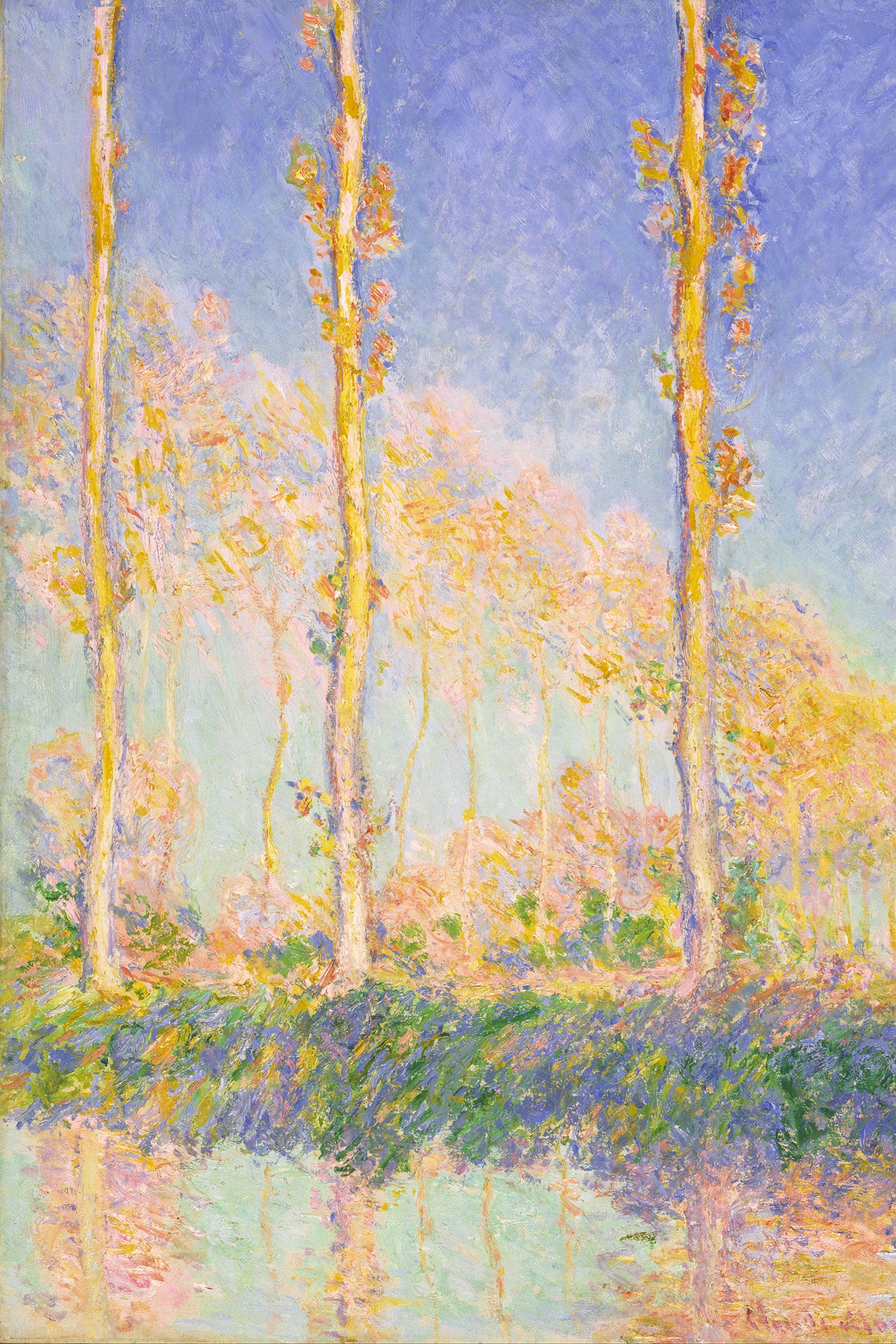 Claude Monet - Pappeln  , Glasbild