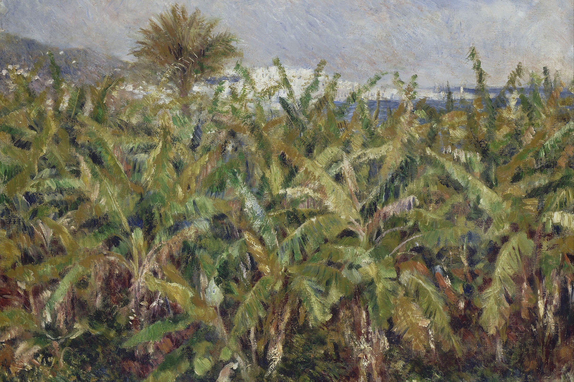 Pierre-Auguste Renoir - Feld mit Bananenbäumen , Glasbild