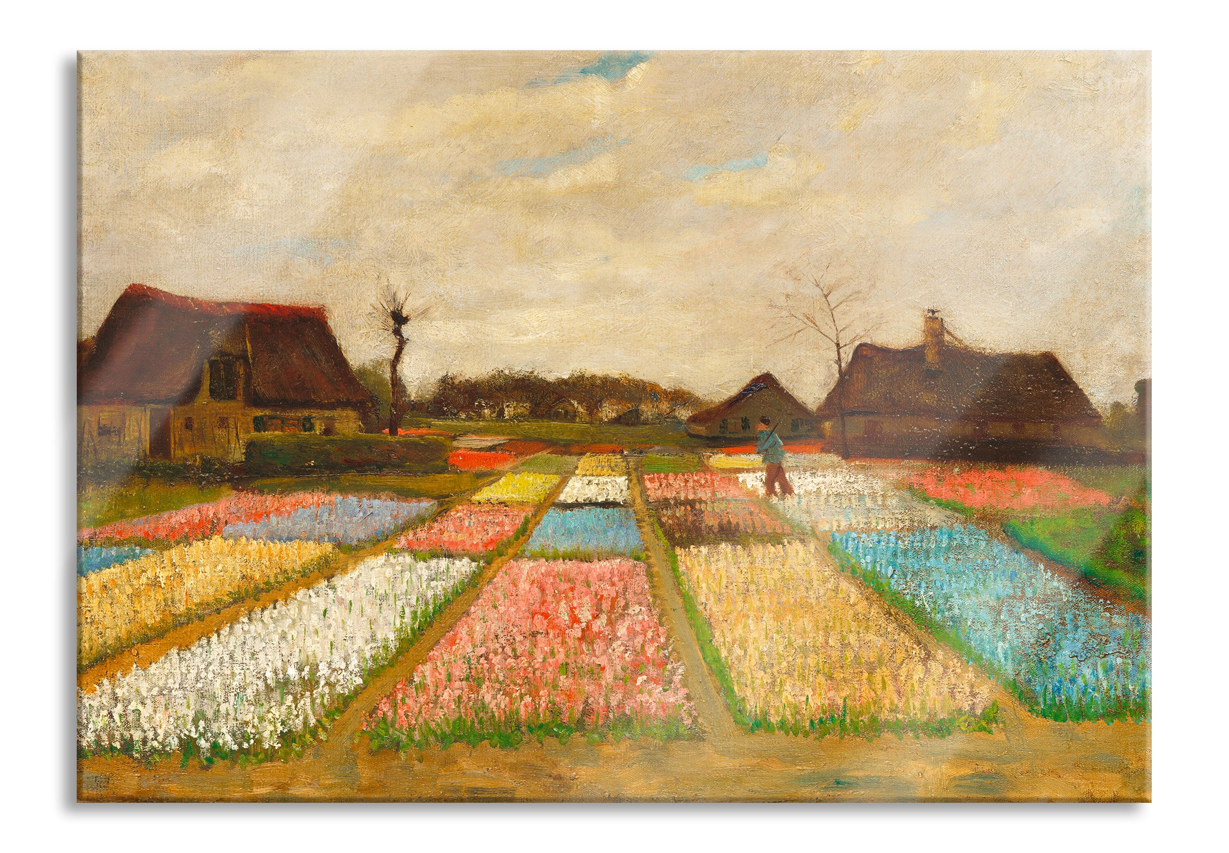 Vincent Van Gogh - Blumenbeete in Holland , Glasbild