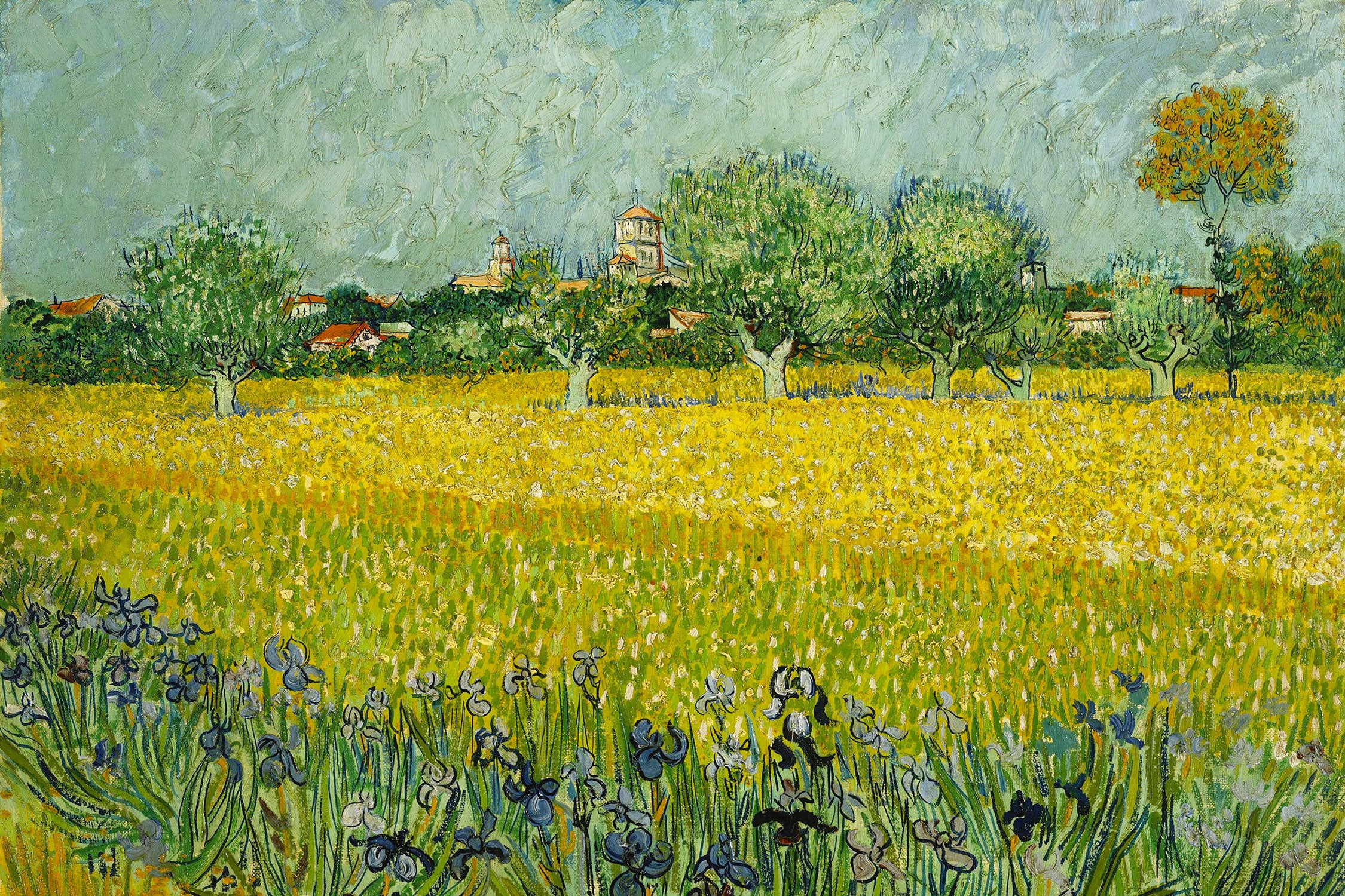 Vincent Van Gogh - Feld mit Blumen in der Nähe von Arle, Glasbild