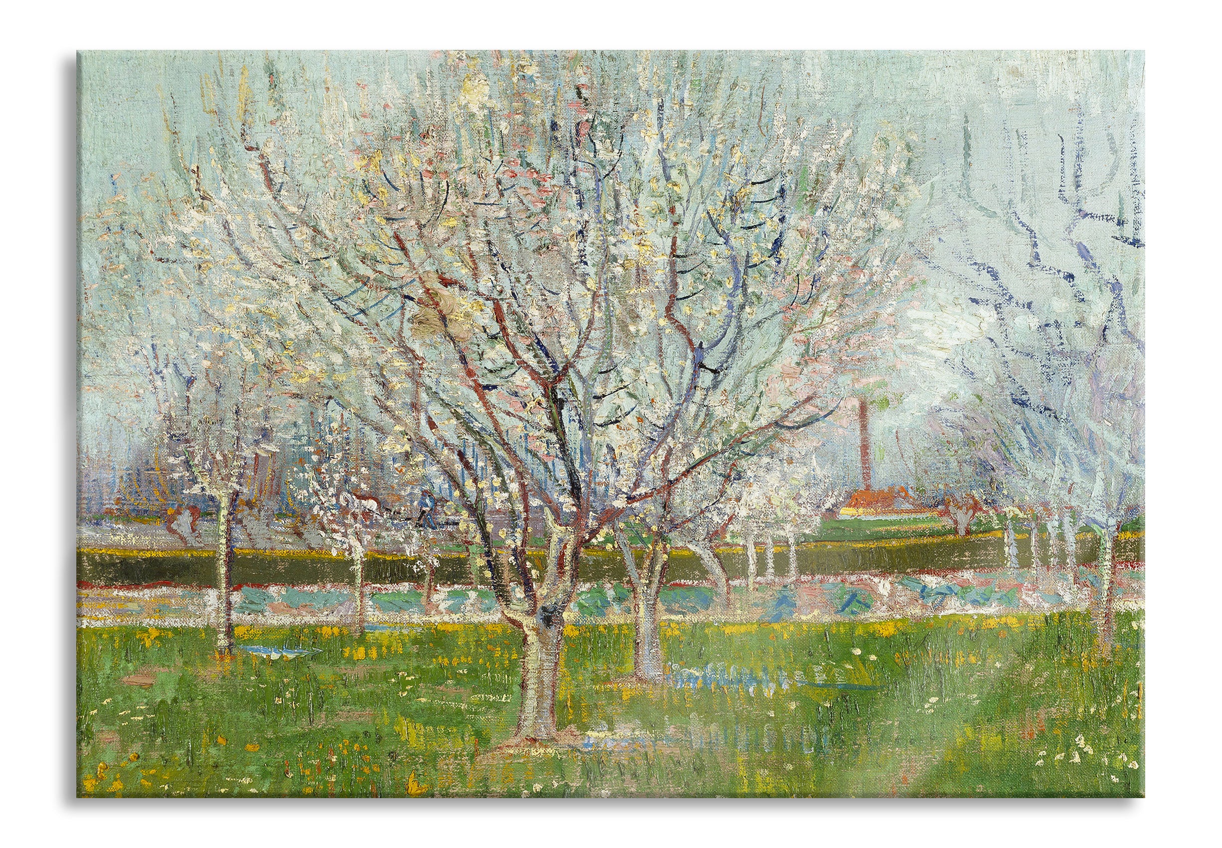 Vincent Van Gogh - Blühender Obstgarten Pflaumenbaum , Glasbild