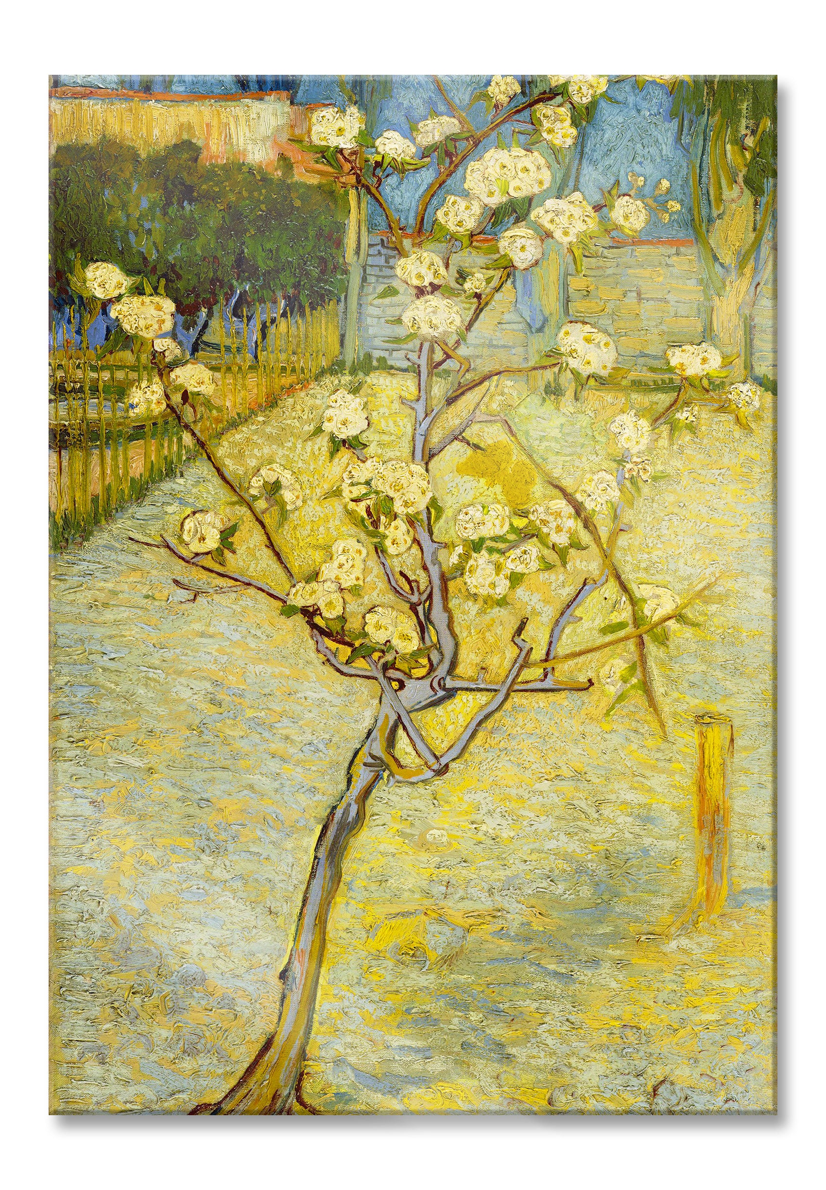 Vincent Van Gogh - Blühender kleiner Birnenbaum , Glasbild