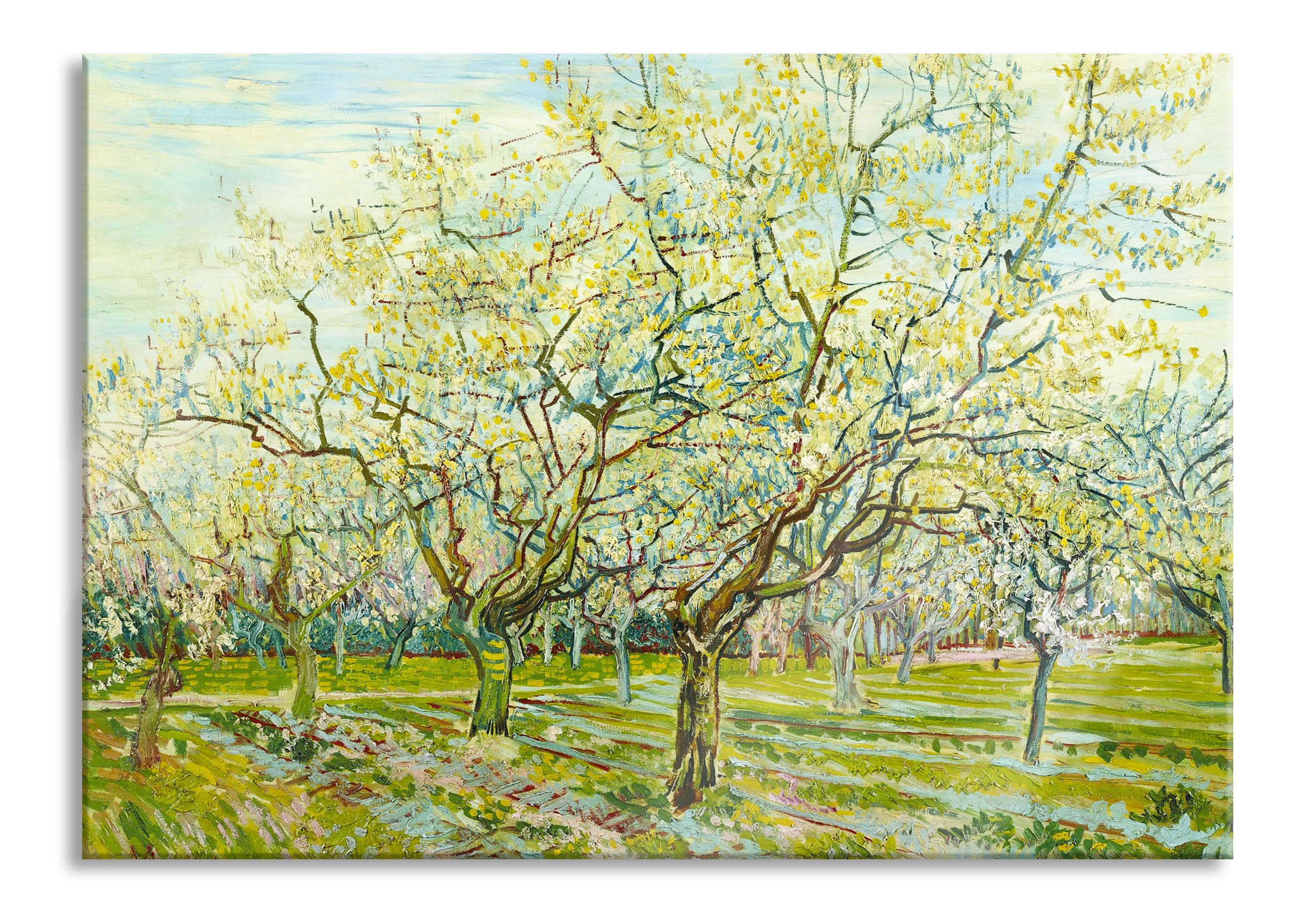 Vincent Van Gogh - Der weiße Obstgarten , Glasbild