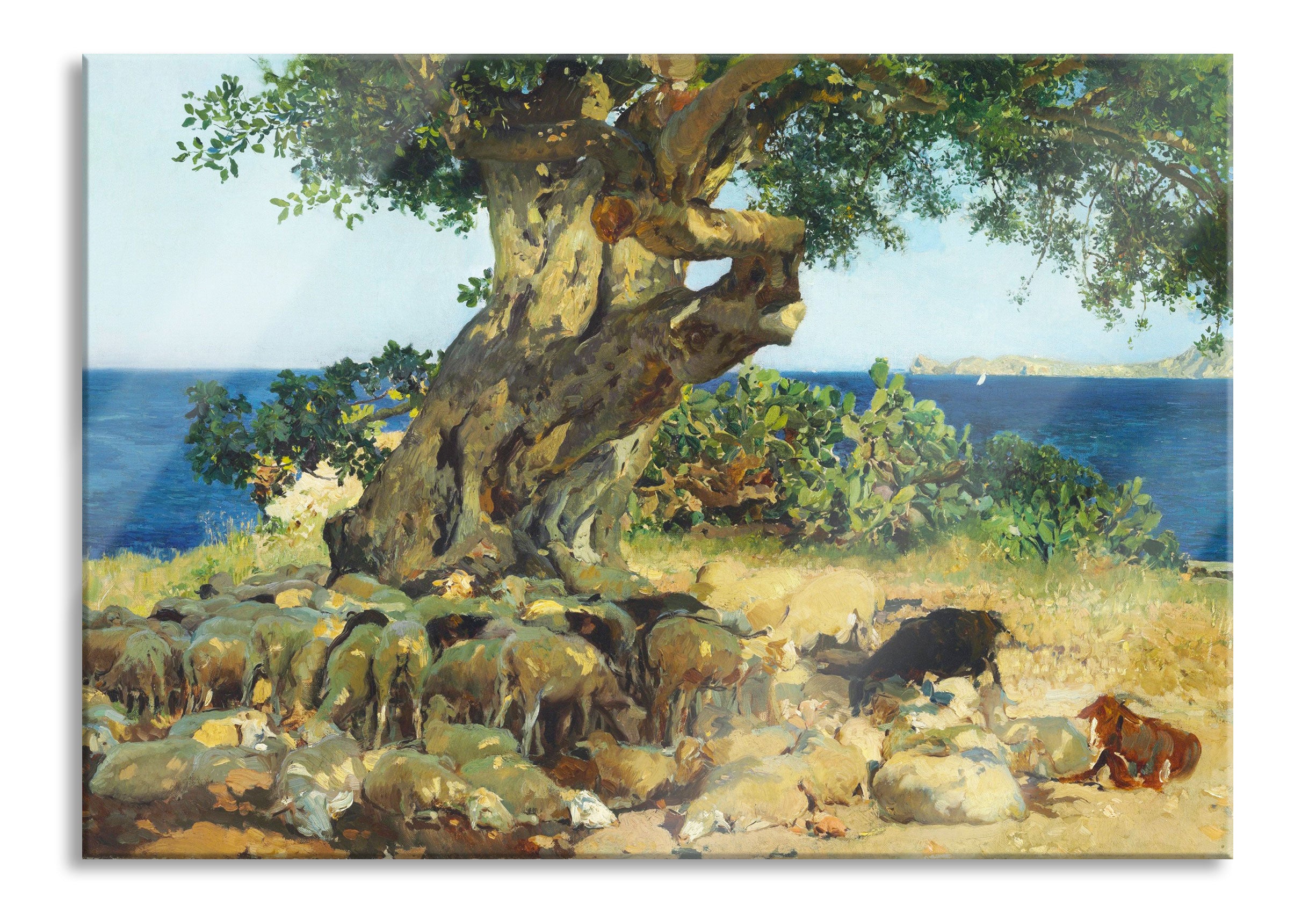 Joaquín Sorolla - Johannisbrotbaum Algarrobo, Glasbild