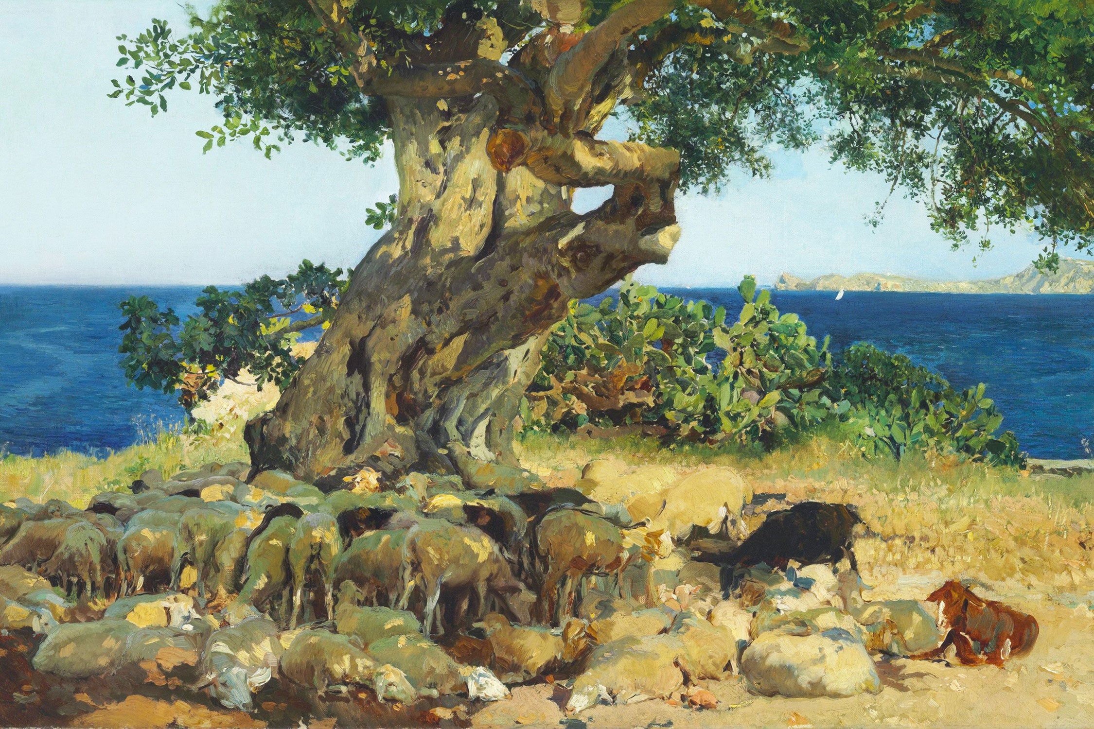 Joaquín Sorolla - Johannisbrotbaum Algarrobo, Glasbild