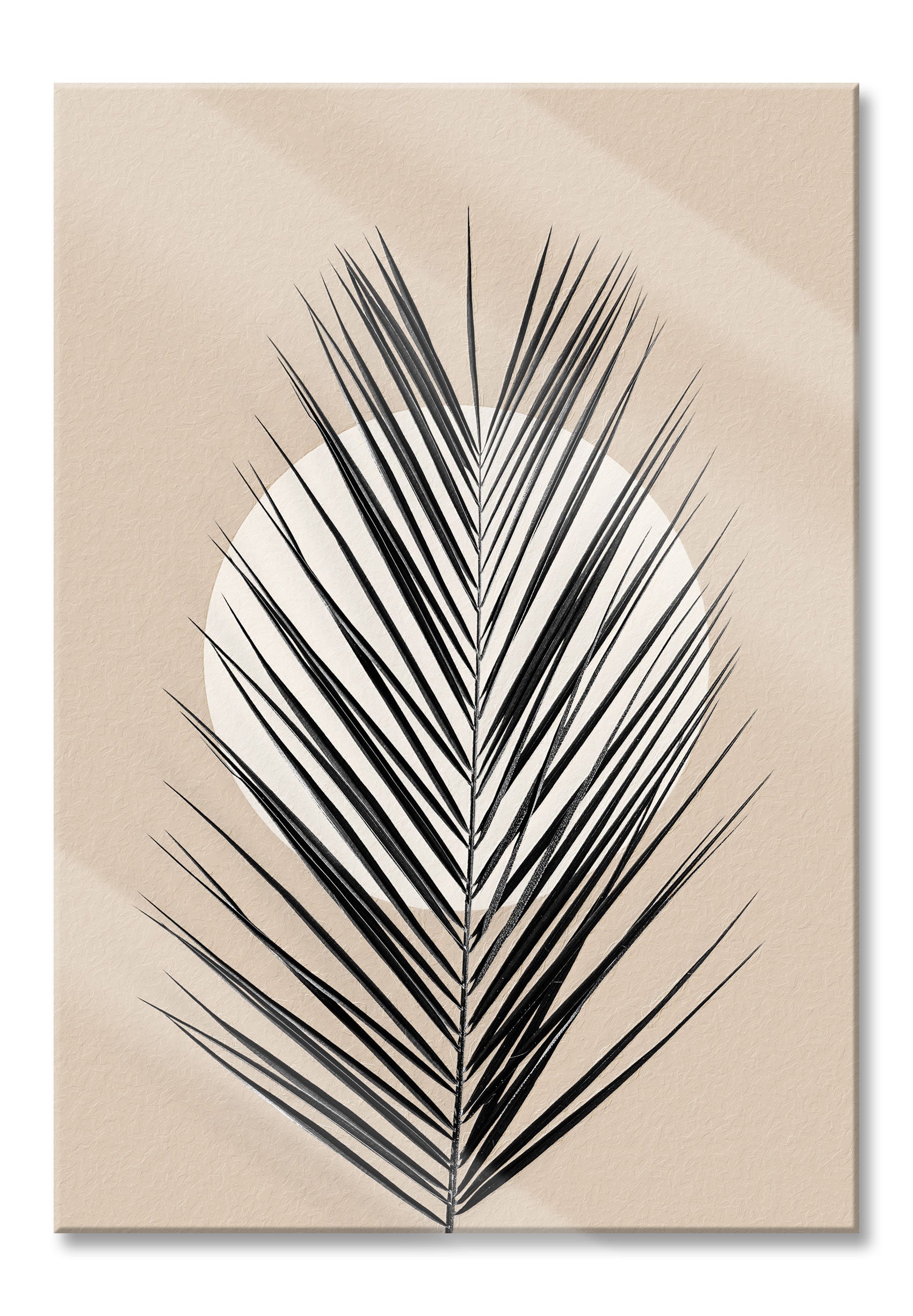 Modern Art Botanical  - Farn V, Glasbild