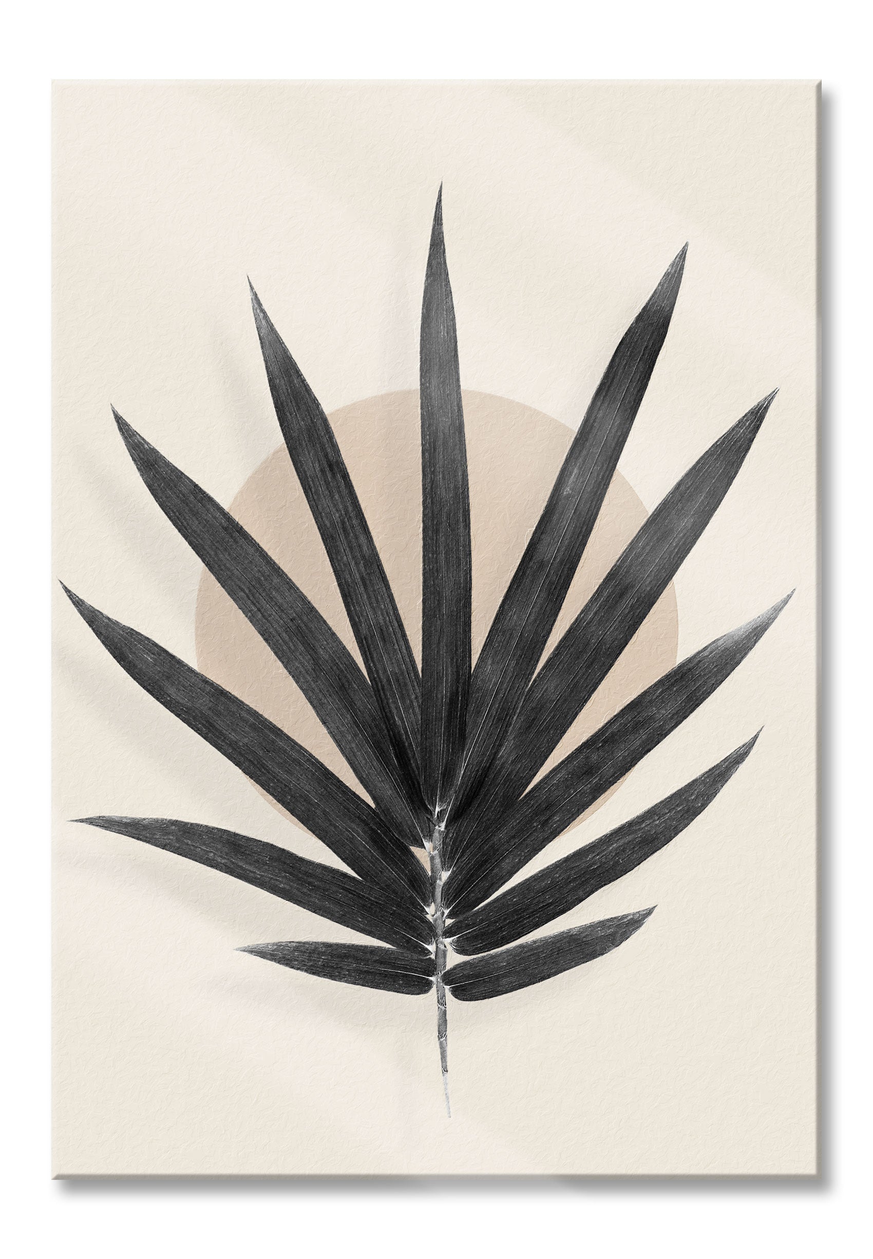 Modern Art Botanical  - Palme, Glasbild