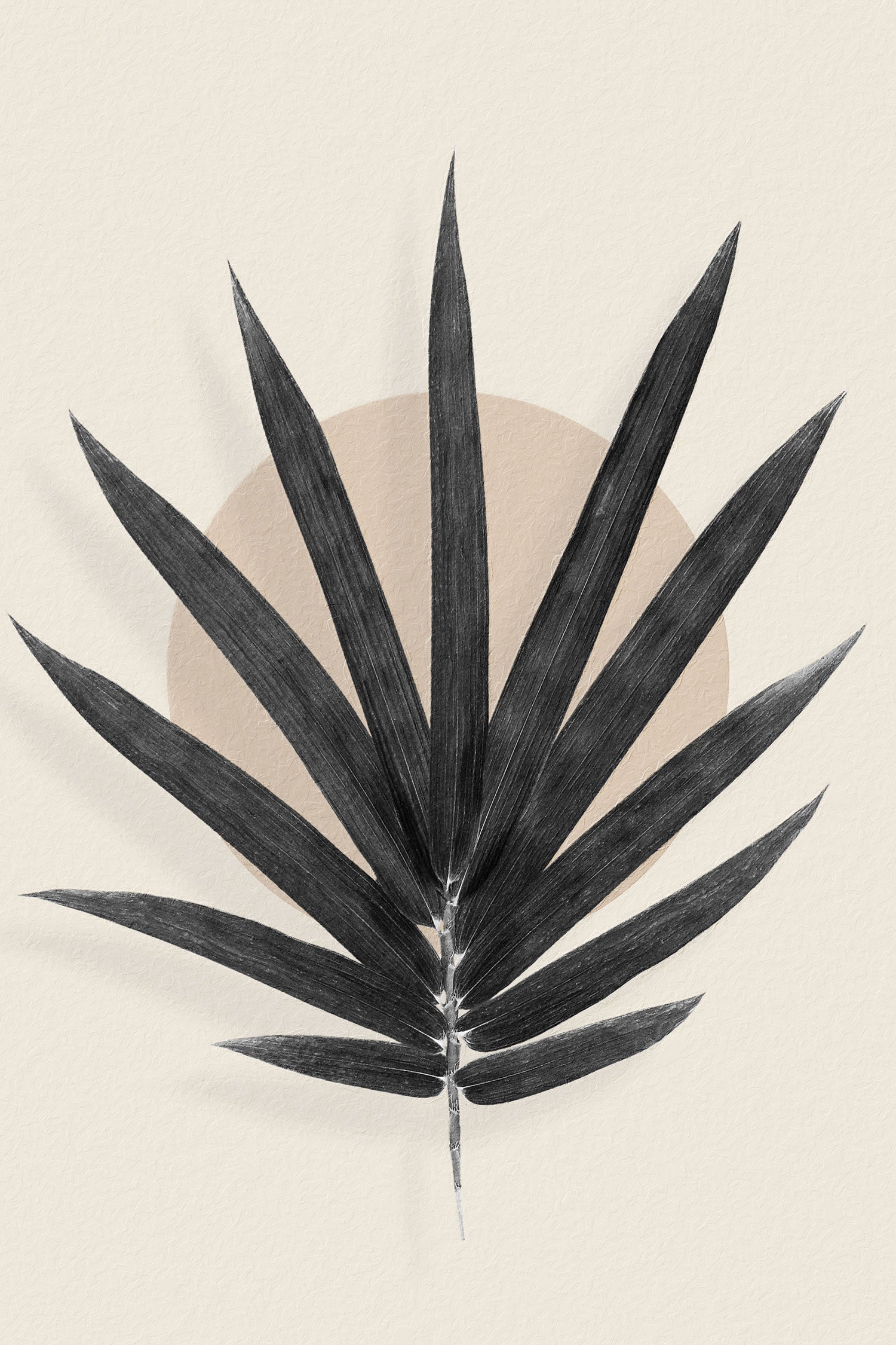 Modern Art Botanical  - Palme, Glasbild