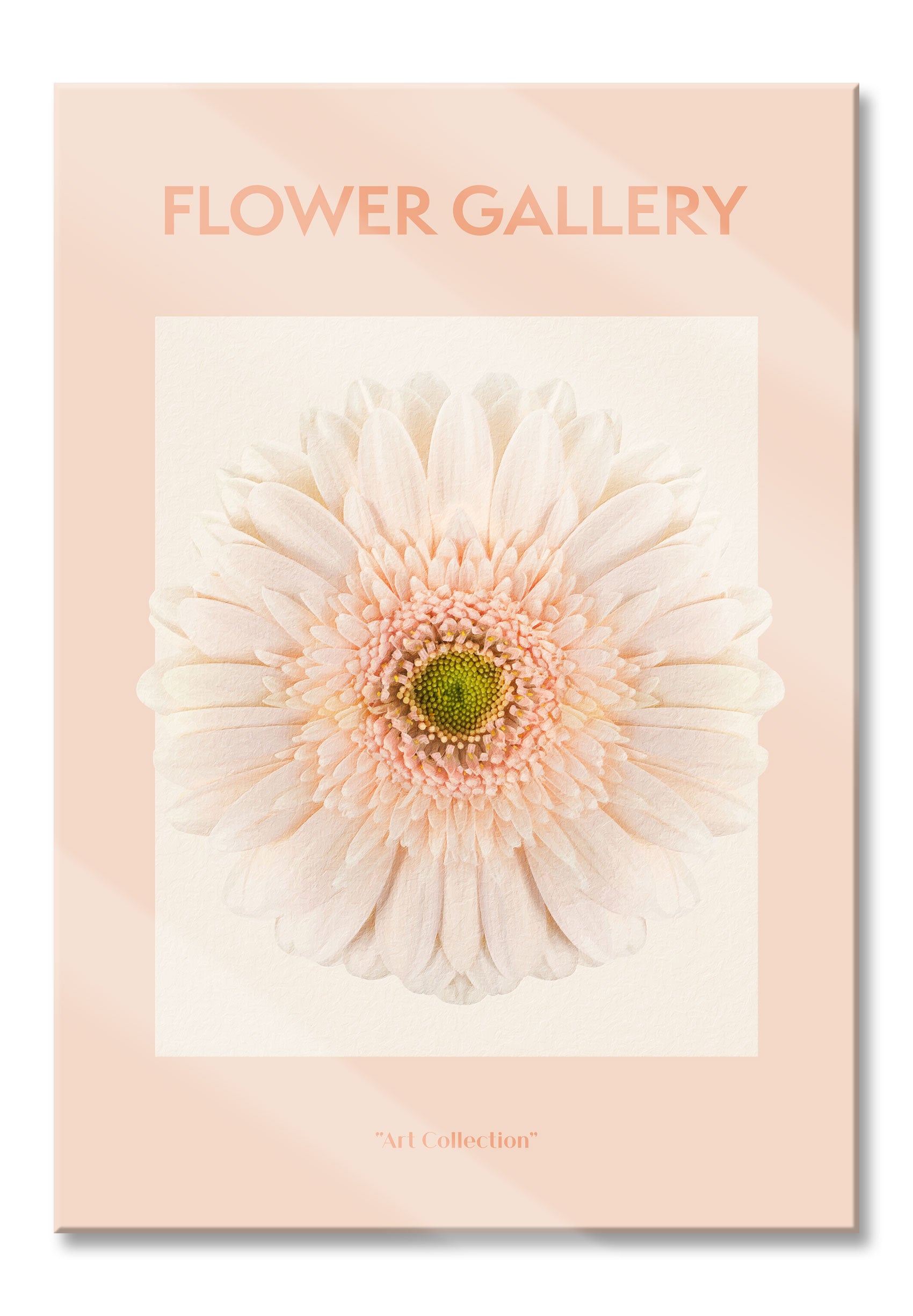 Flower Gallery  - Weiße Gerbera I, Glasbild