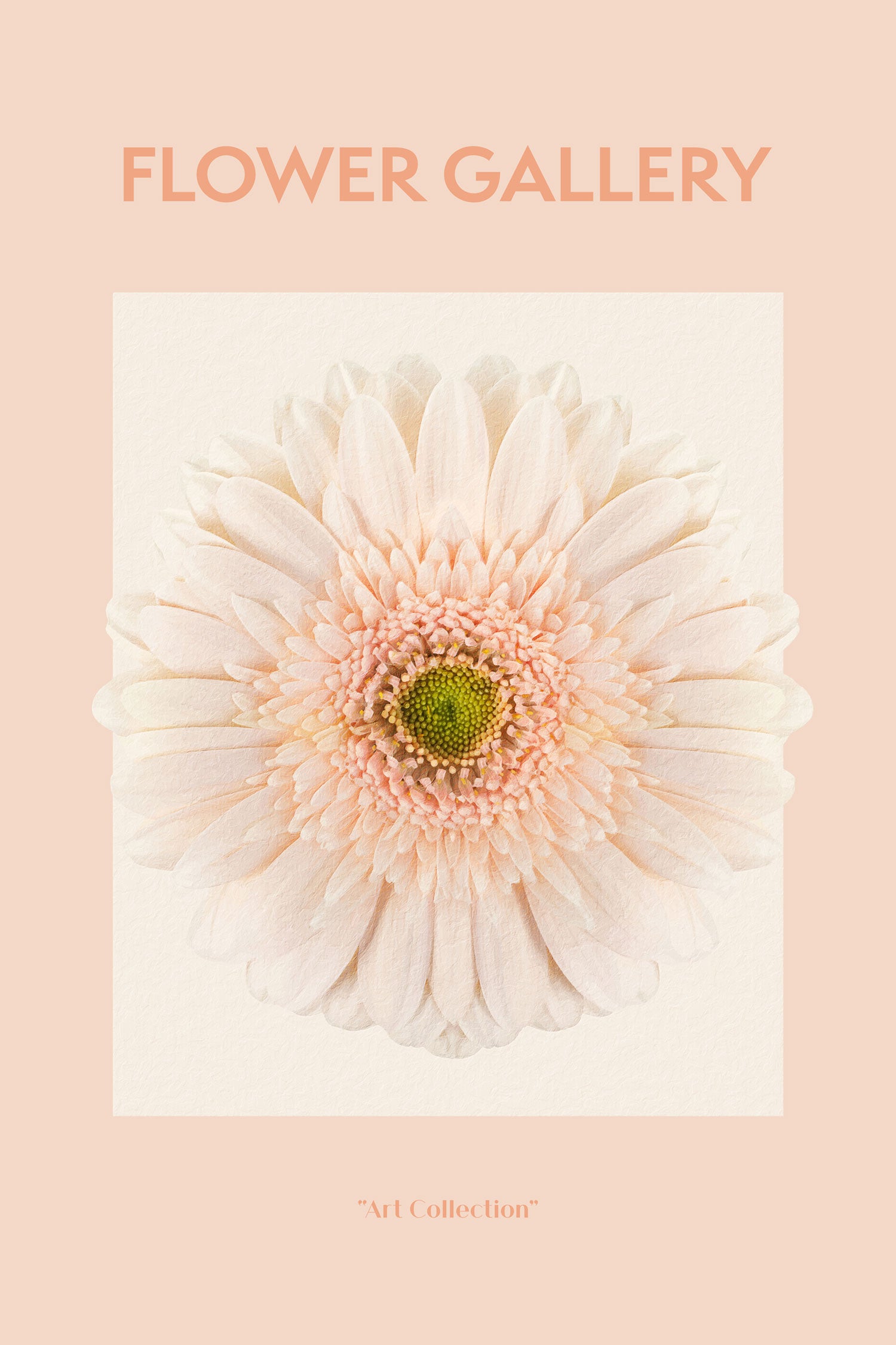 Flower Gallery  - Weiße Gerbera I, Glasbild