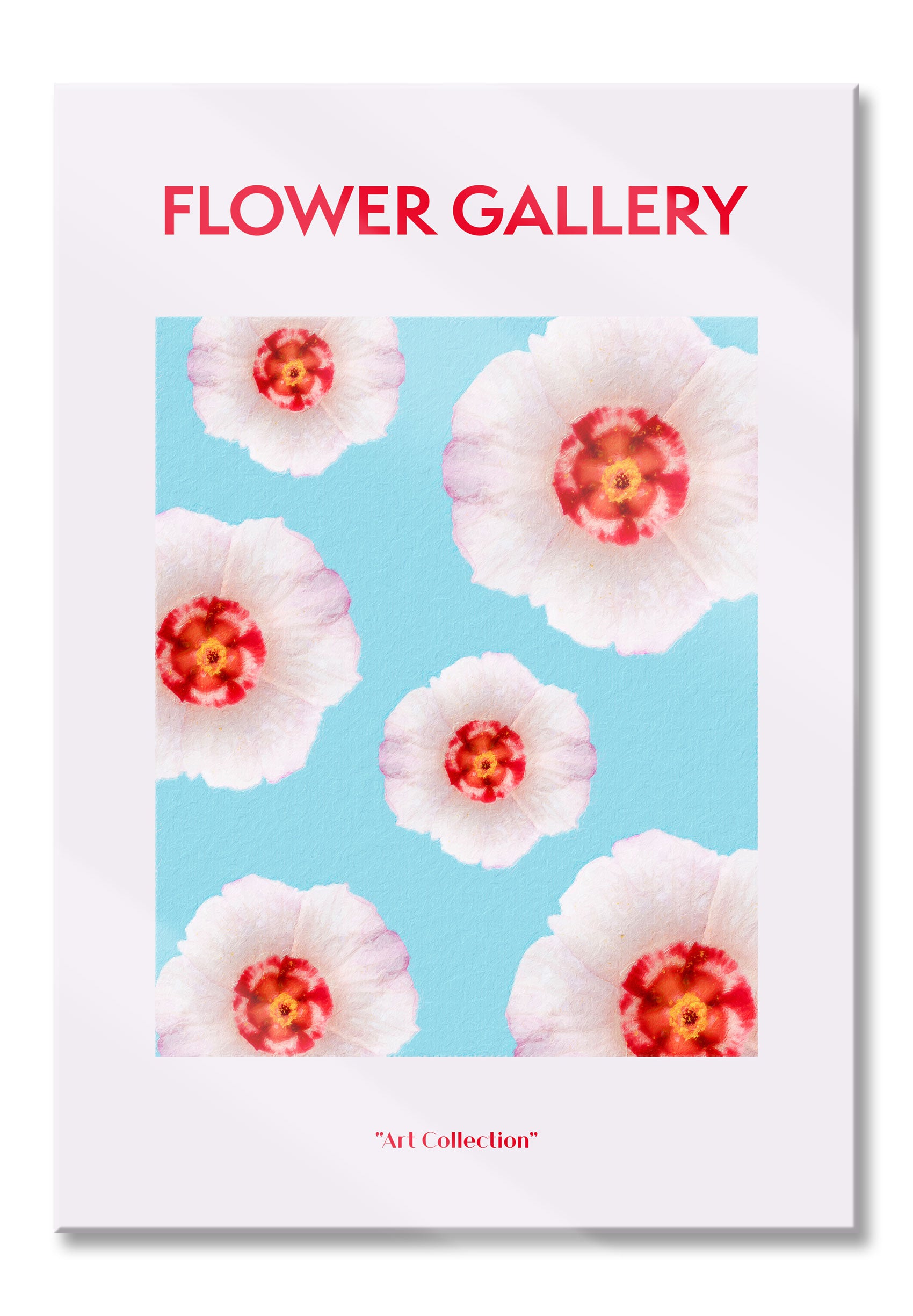 Flower Gallery  - Mohnblume, Glasbild