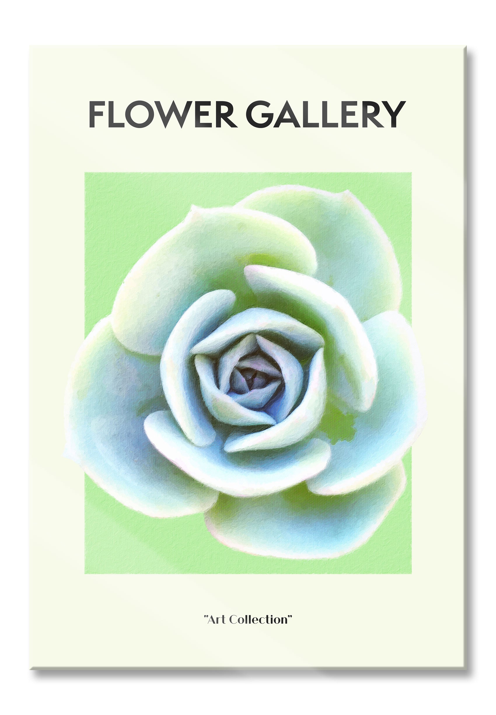 Flower Gallery  - Sukkulente , Glasbild