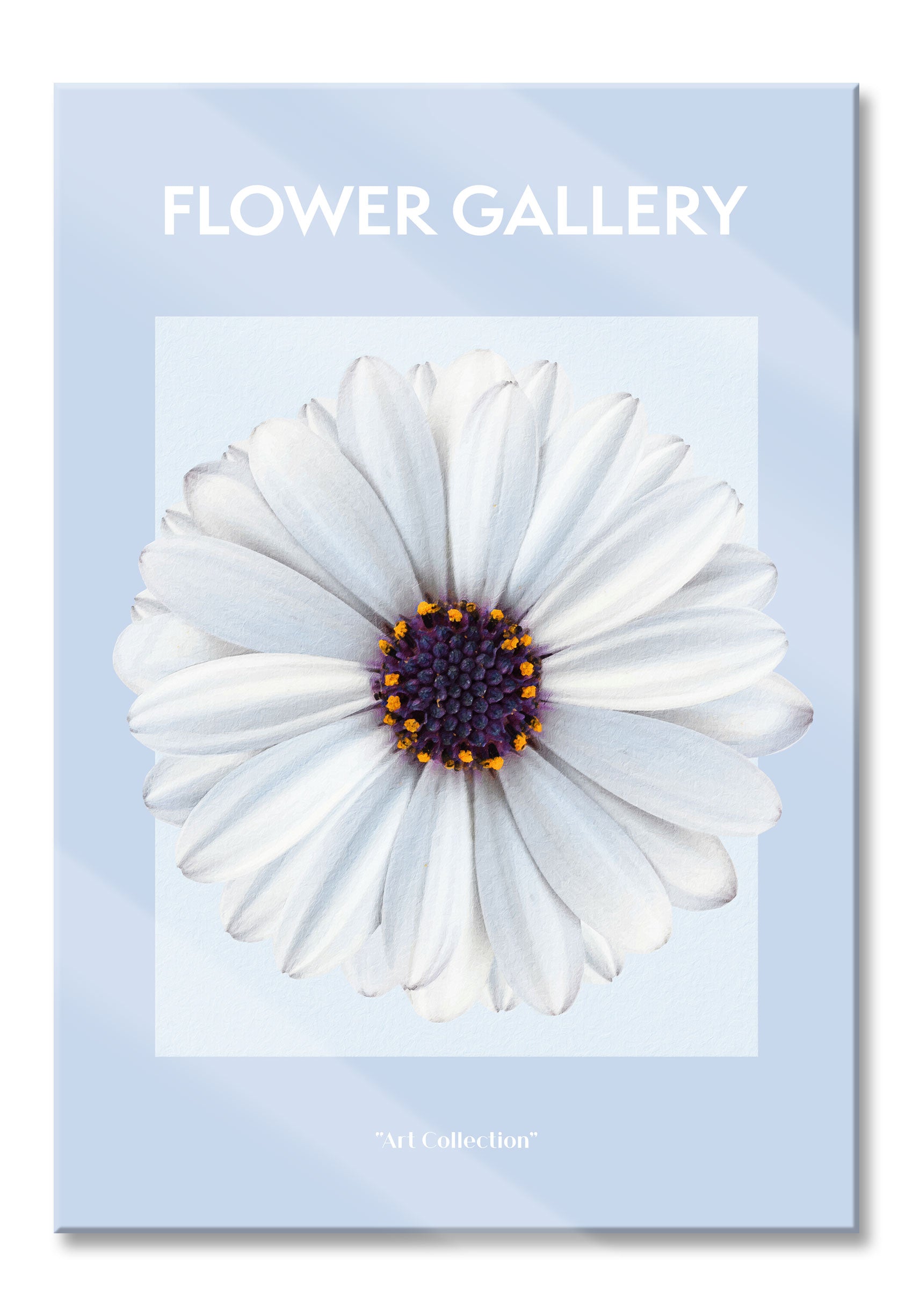 Flower Gallery  - Weiße Margerite , Glasbild