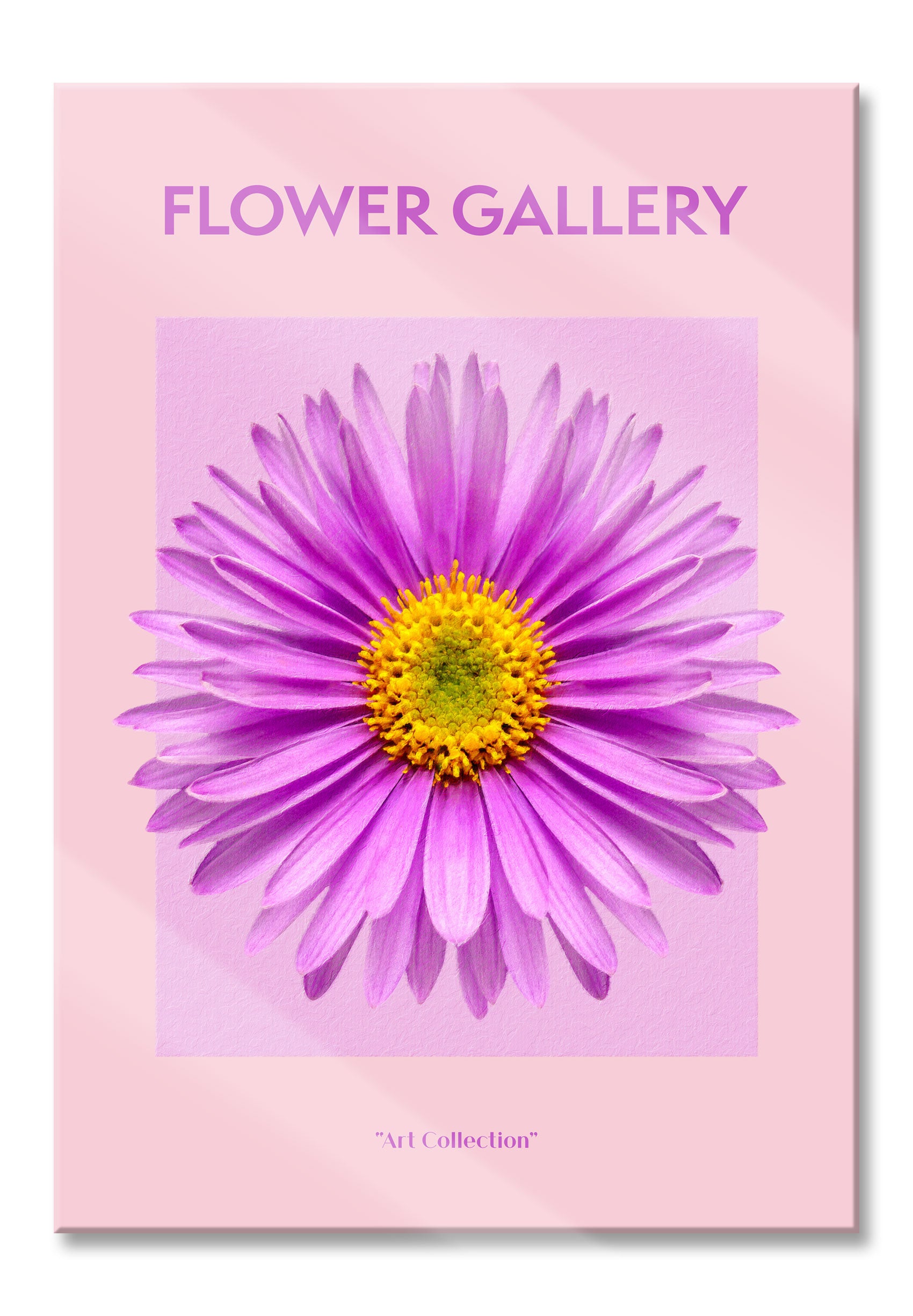 Flower Gallery  - Rosa Margerite I, Glasbild