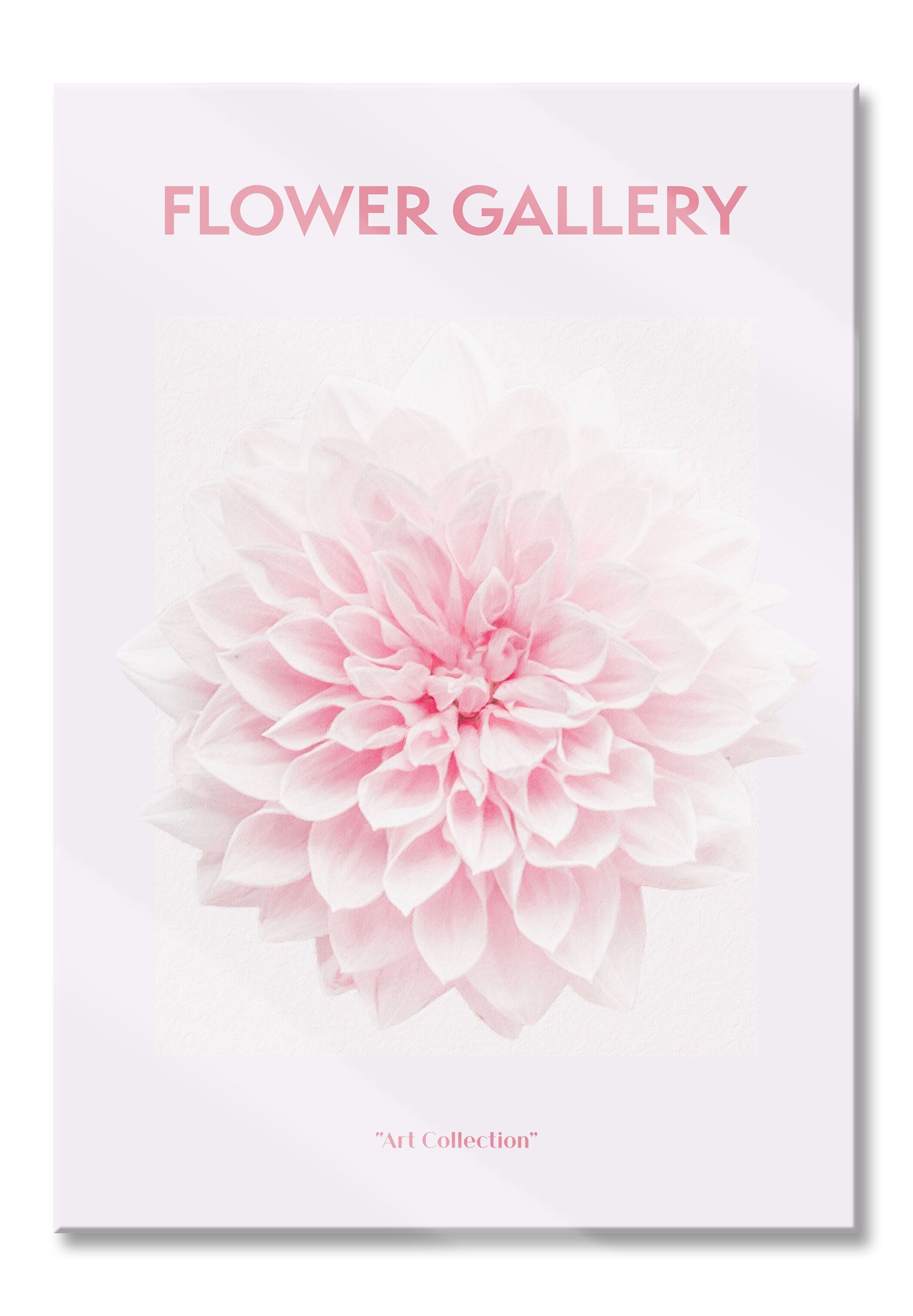 Flower Gallery  - Rosa Chrysantheme I, Glasbild