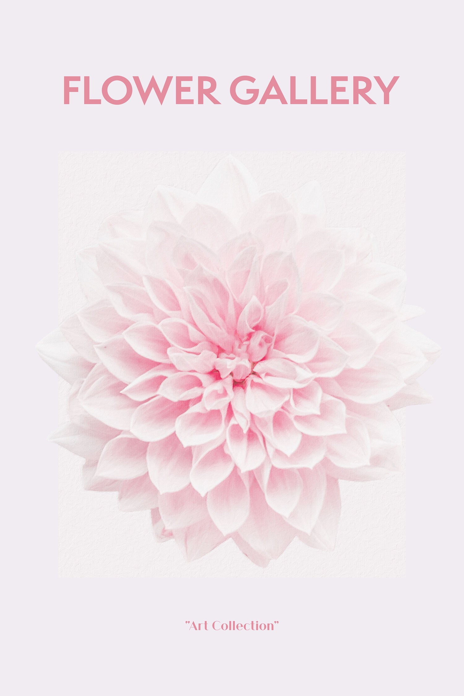 Flower Gallery  - Rosa Chrysantheme I, Glasbild