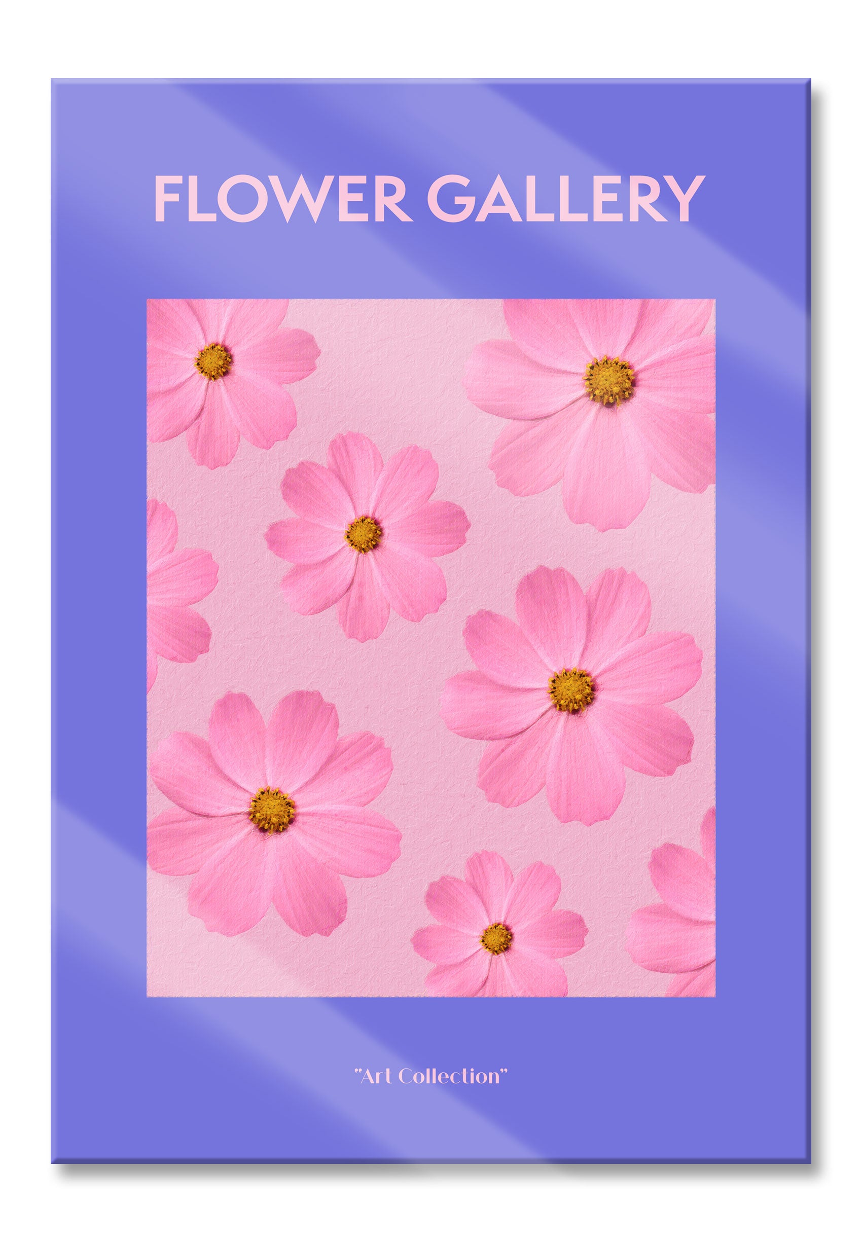 Flower Gallery  - Rosa Kosmos Cosmos Rose, Glasbild