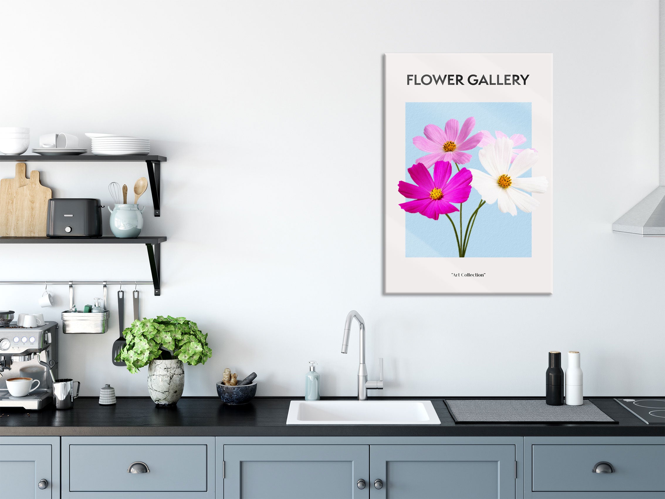 Flower Gallery  - Kosmos Cosmos Rose, Glasbild