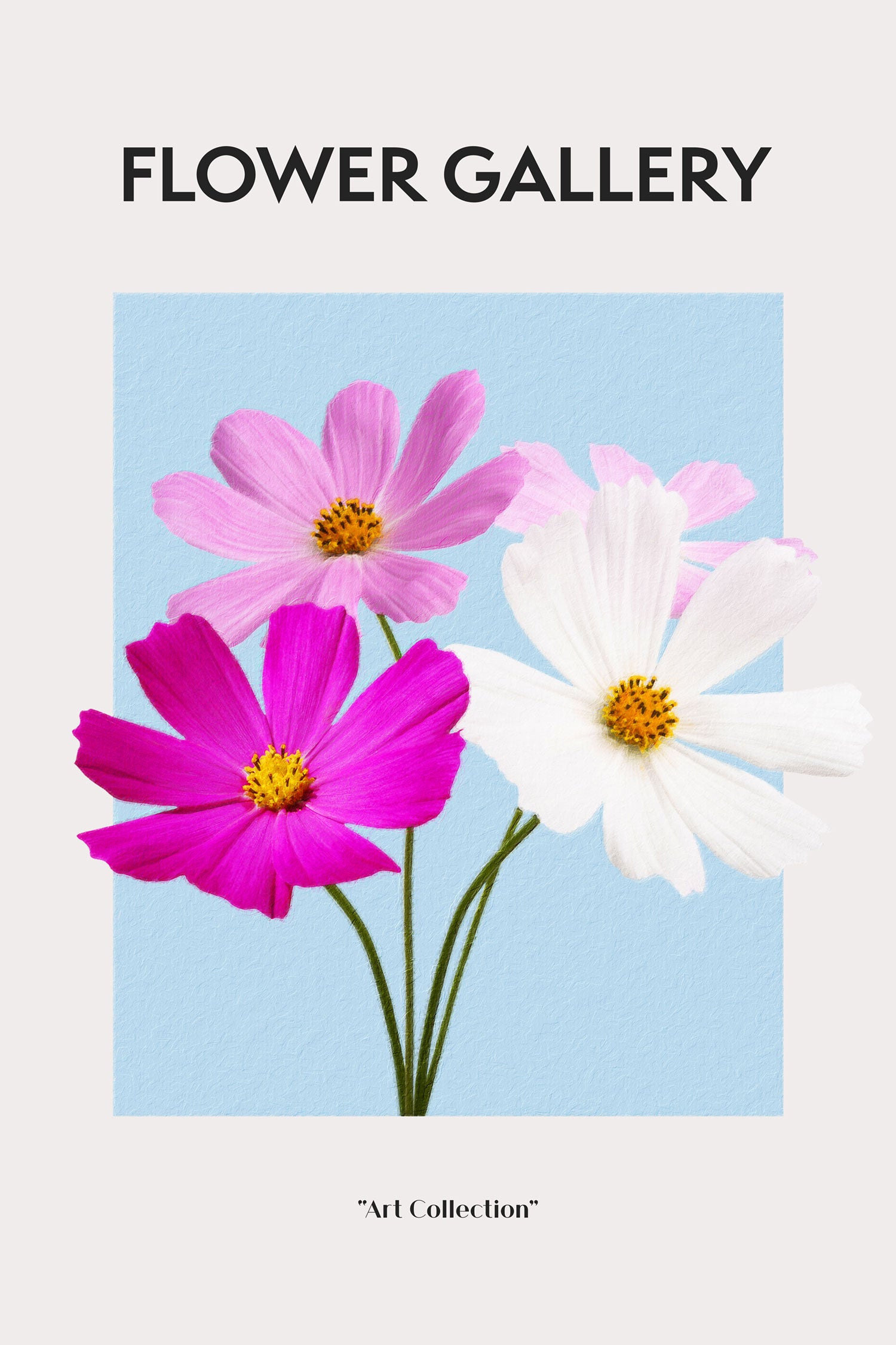 Flower Gallery  - Kosmos Cosmos Rose, Glasbild