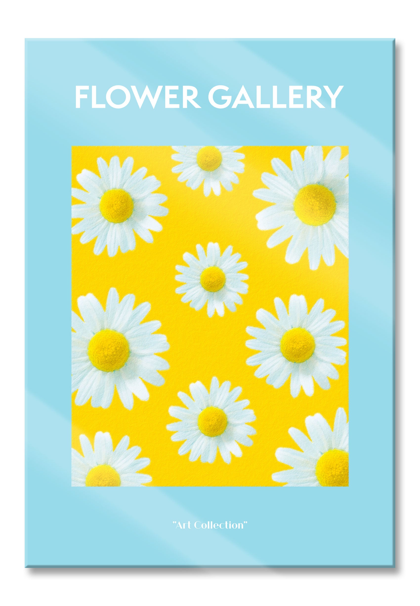 Flower Gallery  - Weiße Kamille Gänseblümchen, Glasbild