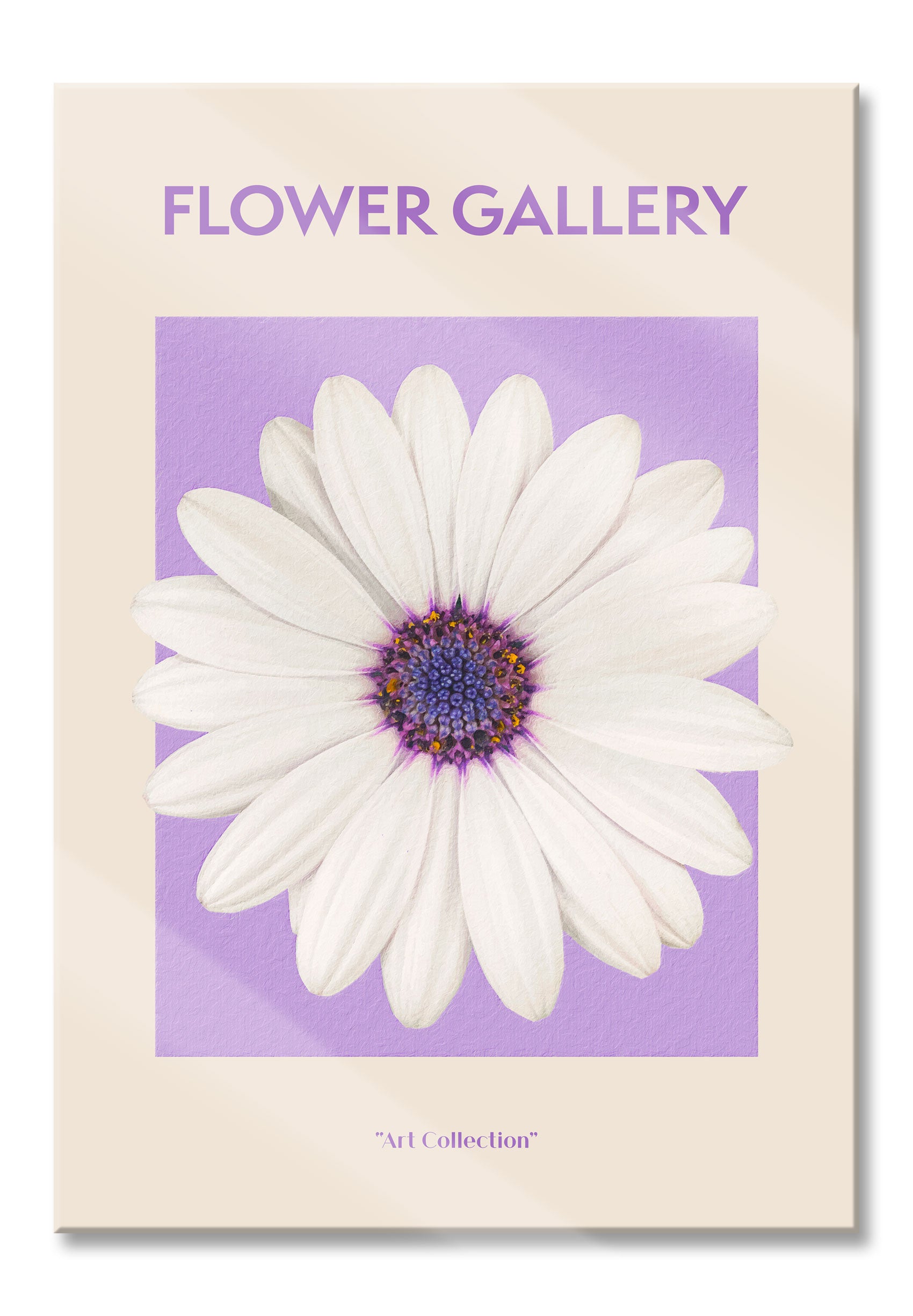 Flower Gallery  - Weiße Margerite, Glasbild