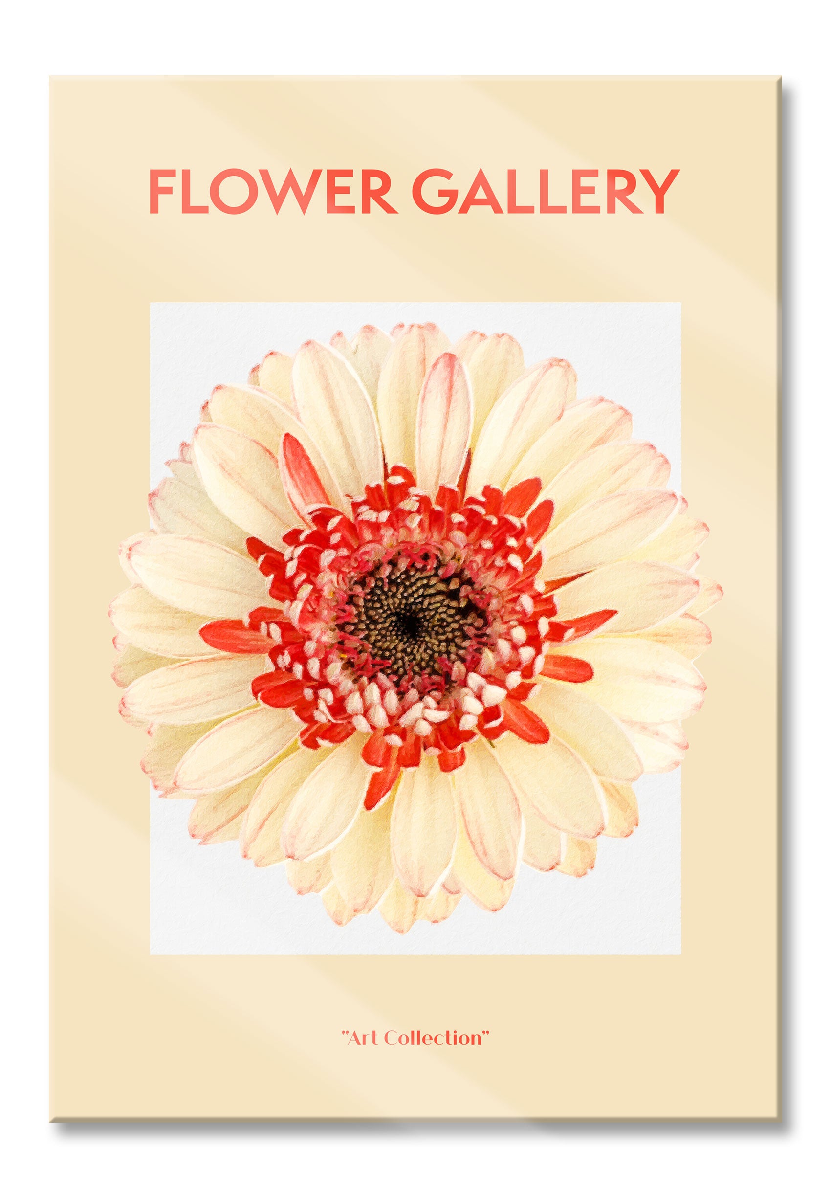 Flower Gallery  - Pfirsich Gerbera , Glasbild