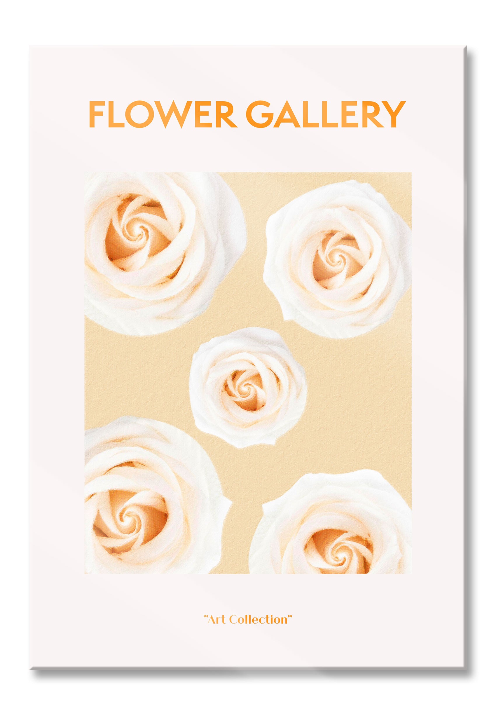 Flower Gallery  - Weiße Rose, Glasbild