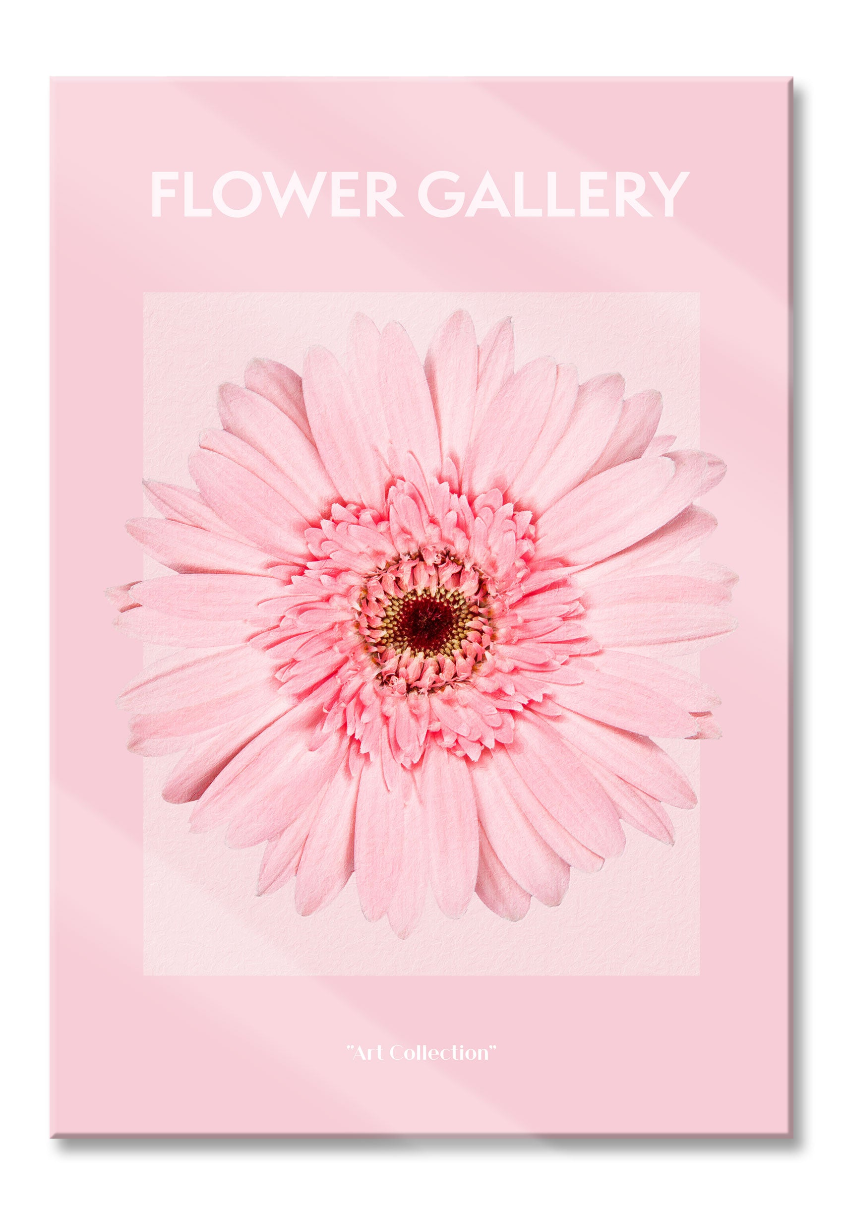 Flower Gallery  - Pinke Gerbera II, Glasbild